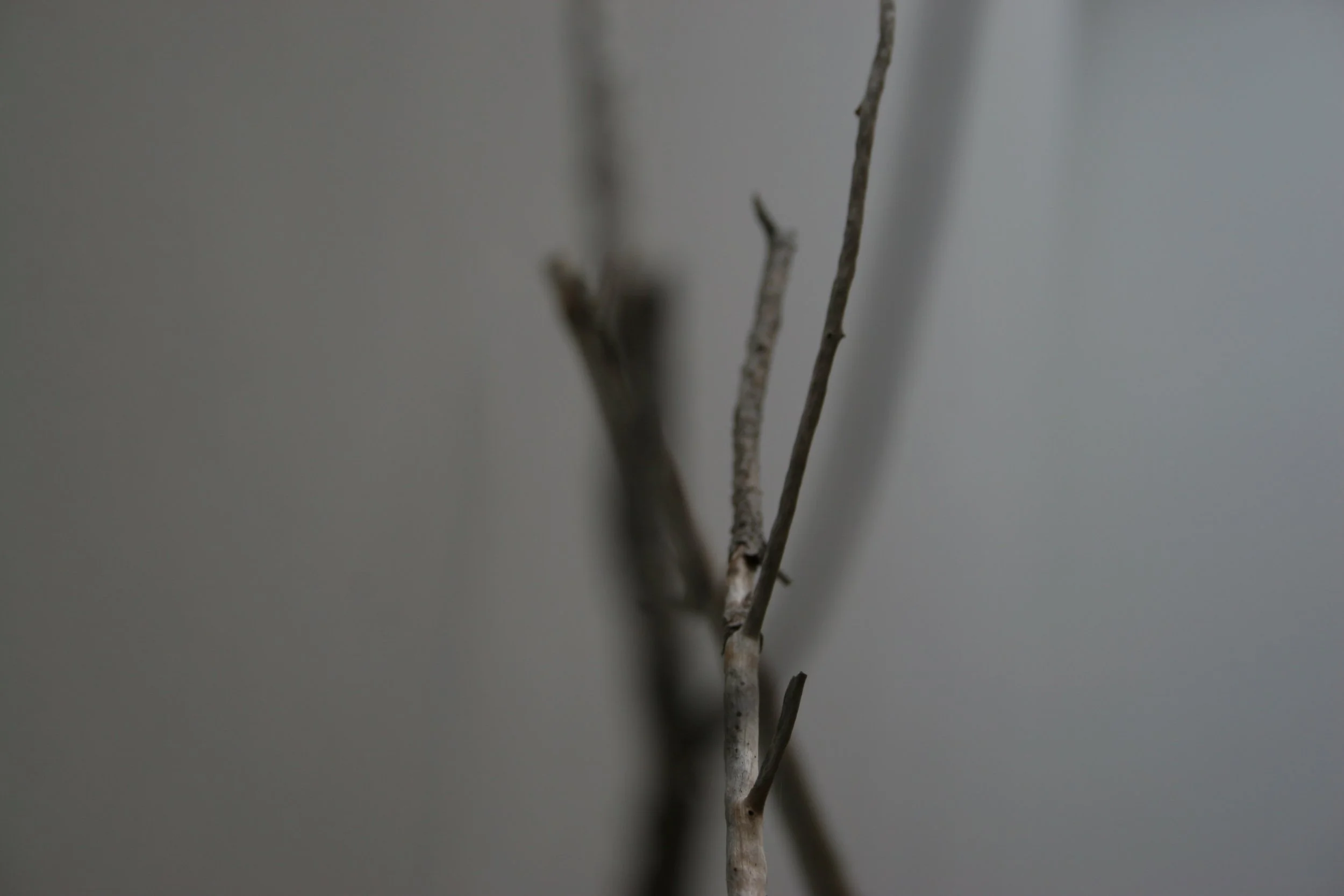 winter sticks 6,  15 X 20, giclée print on 230 gsm archival paper