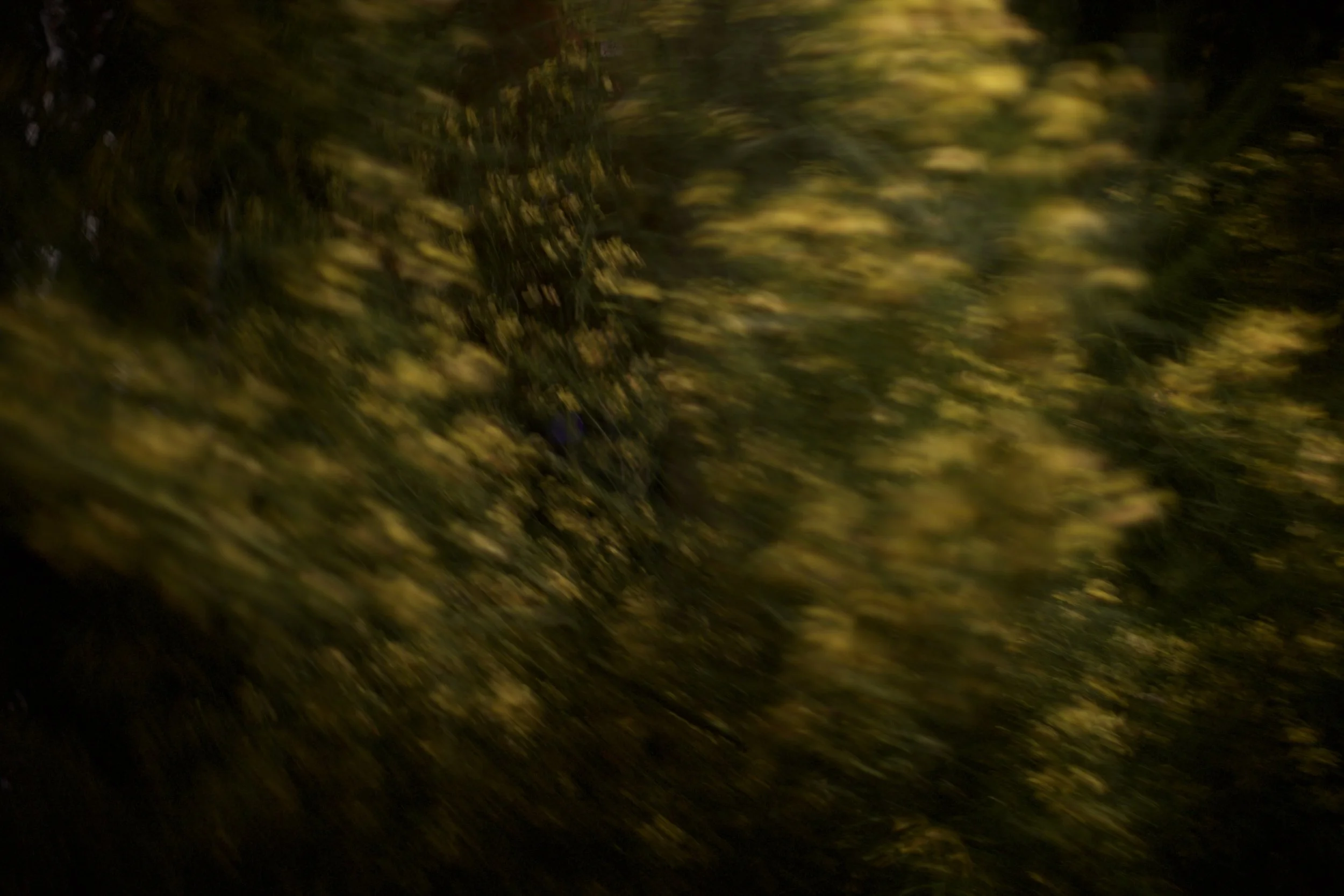 wind 1,  40 X 60, giclée print on 230 gsm archival paper