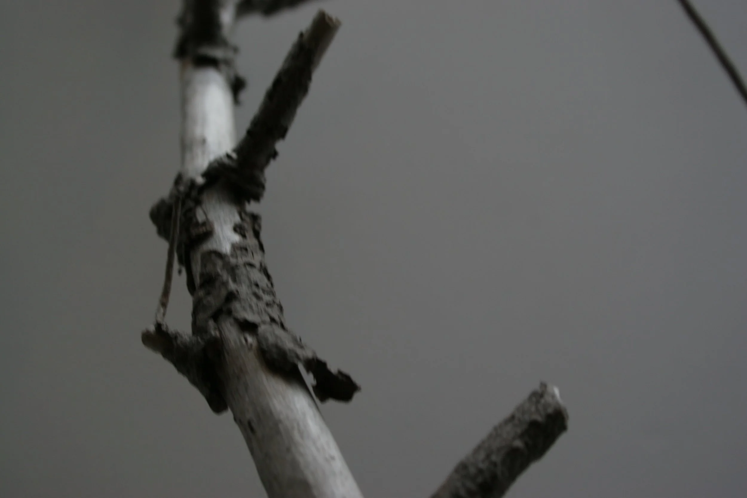 winter sticks 4,  15 X 20, giclée print on 230 gsm archival paper