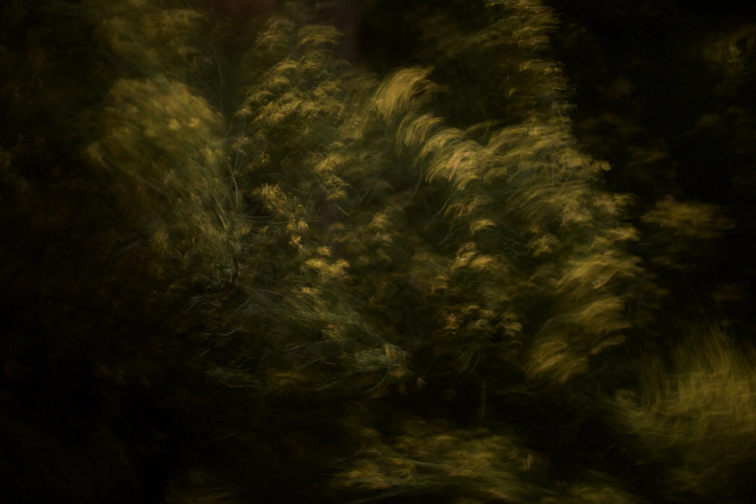 wind 2,  40 X 60, giclée print on 230 gsm archival paper