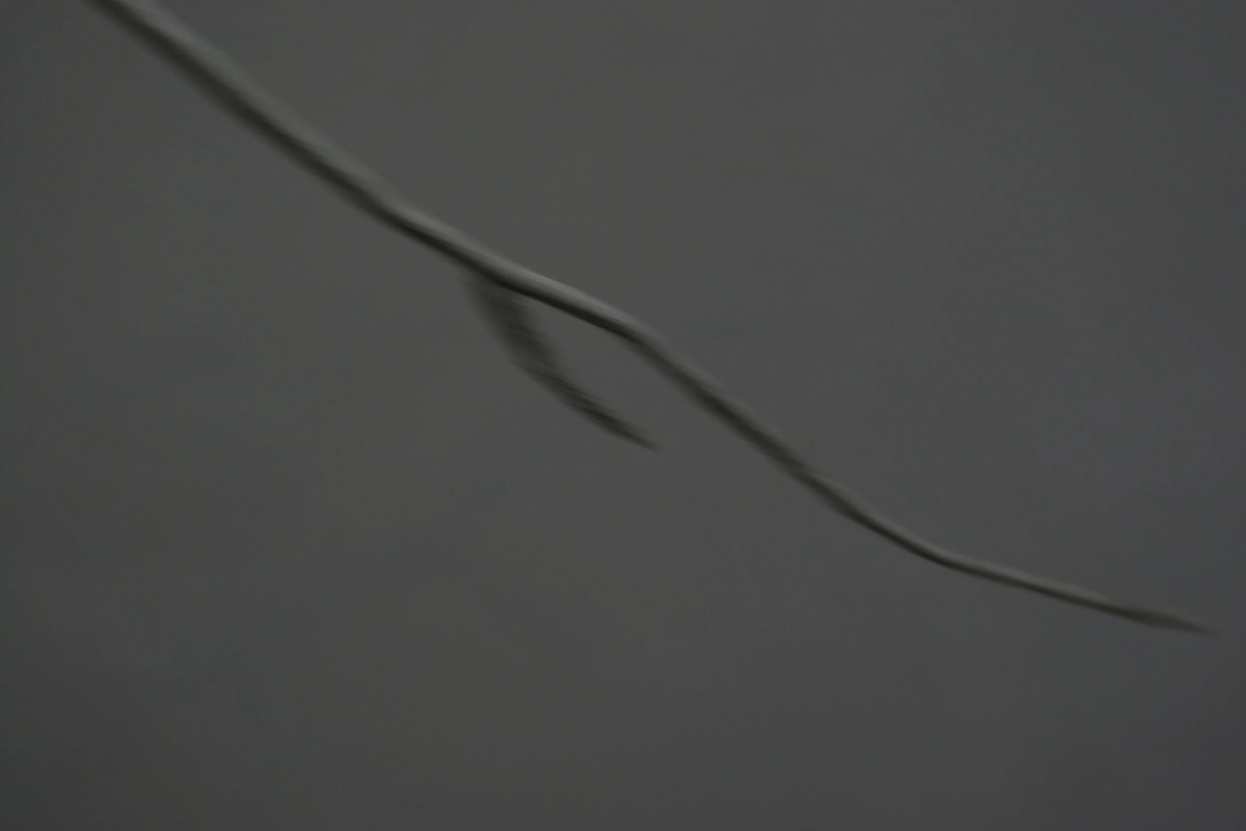 winter sticks 2,  15 X 20, giclée print on 230 gsm archival paper