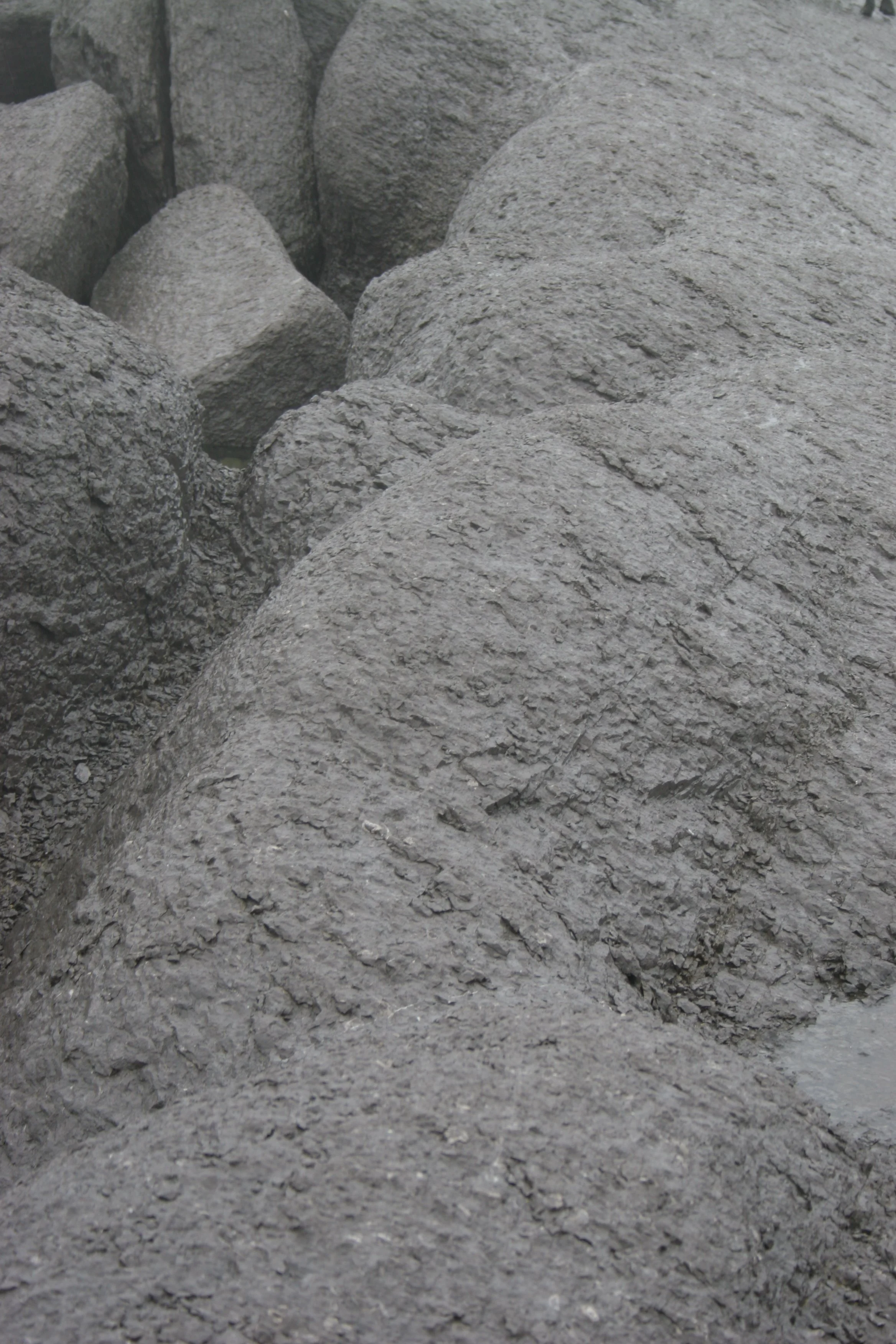 newfoundland 1,  20 X 30, giclée print on 230 gsm archival paper