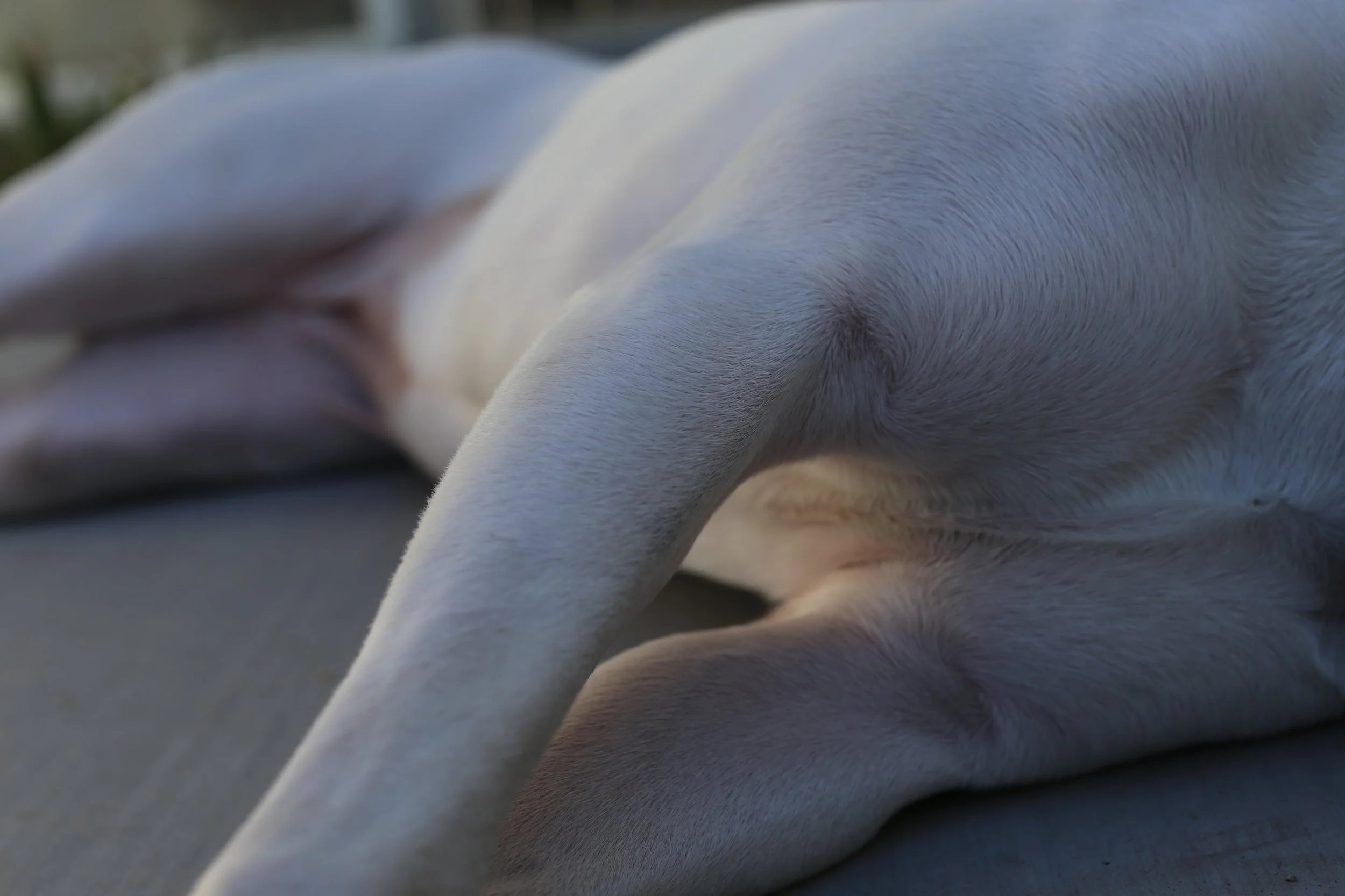 sally 2,  40 X 60, giclée print on 230 gsm archival paper