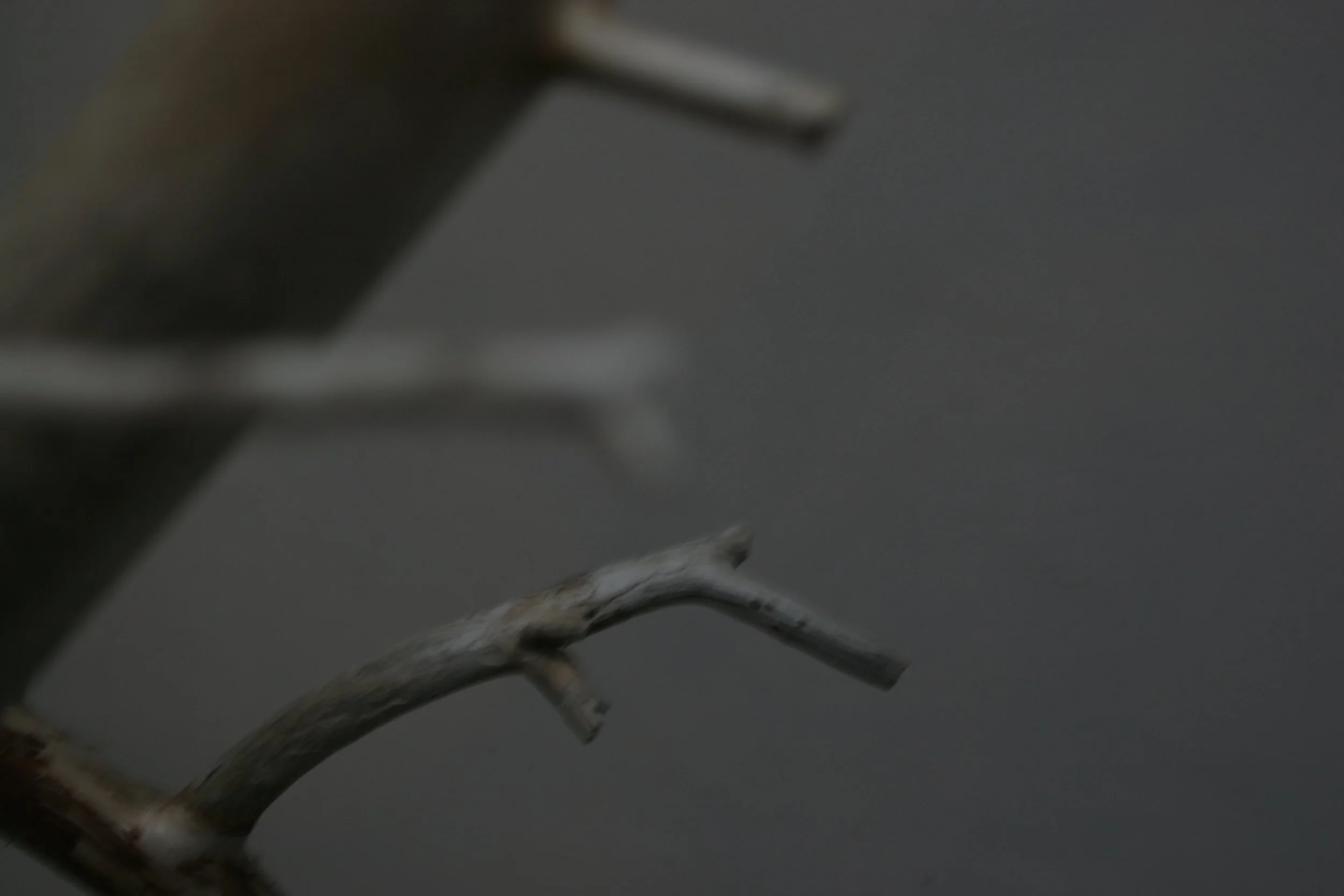 winter sticks 3,  15 X 20, giclée print on 230 gsm archival paper