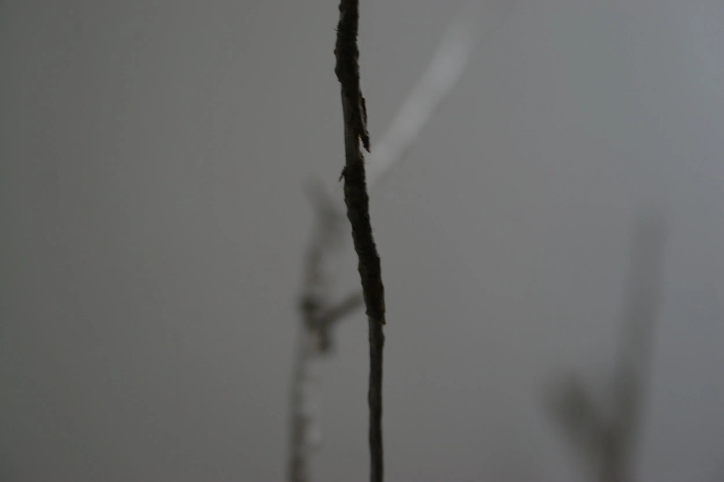 winter sticks 5,  15 X 20, giclée print on 230 gsm archival paper