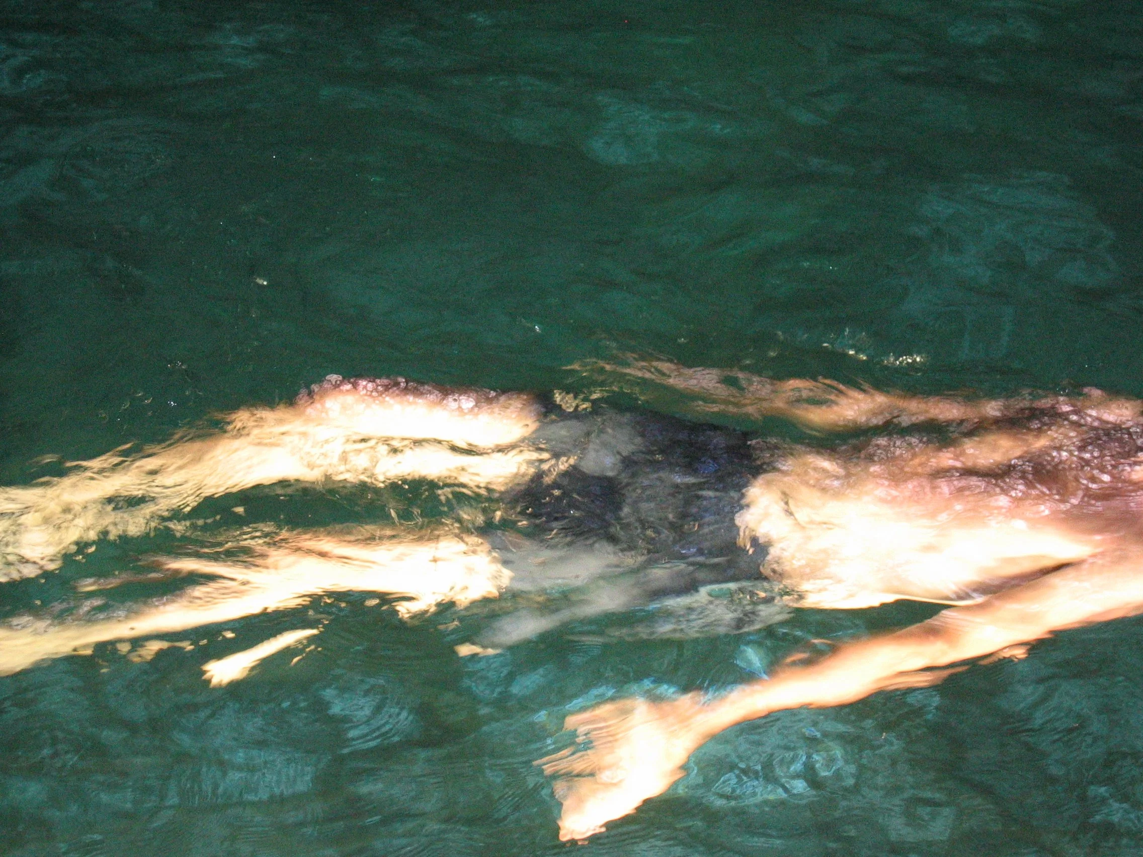 night swim 1,  15 X 20, giclée print on 230 gsm archival paper