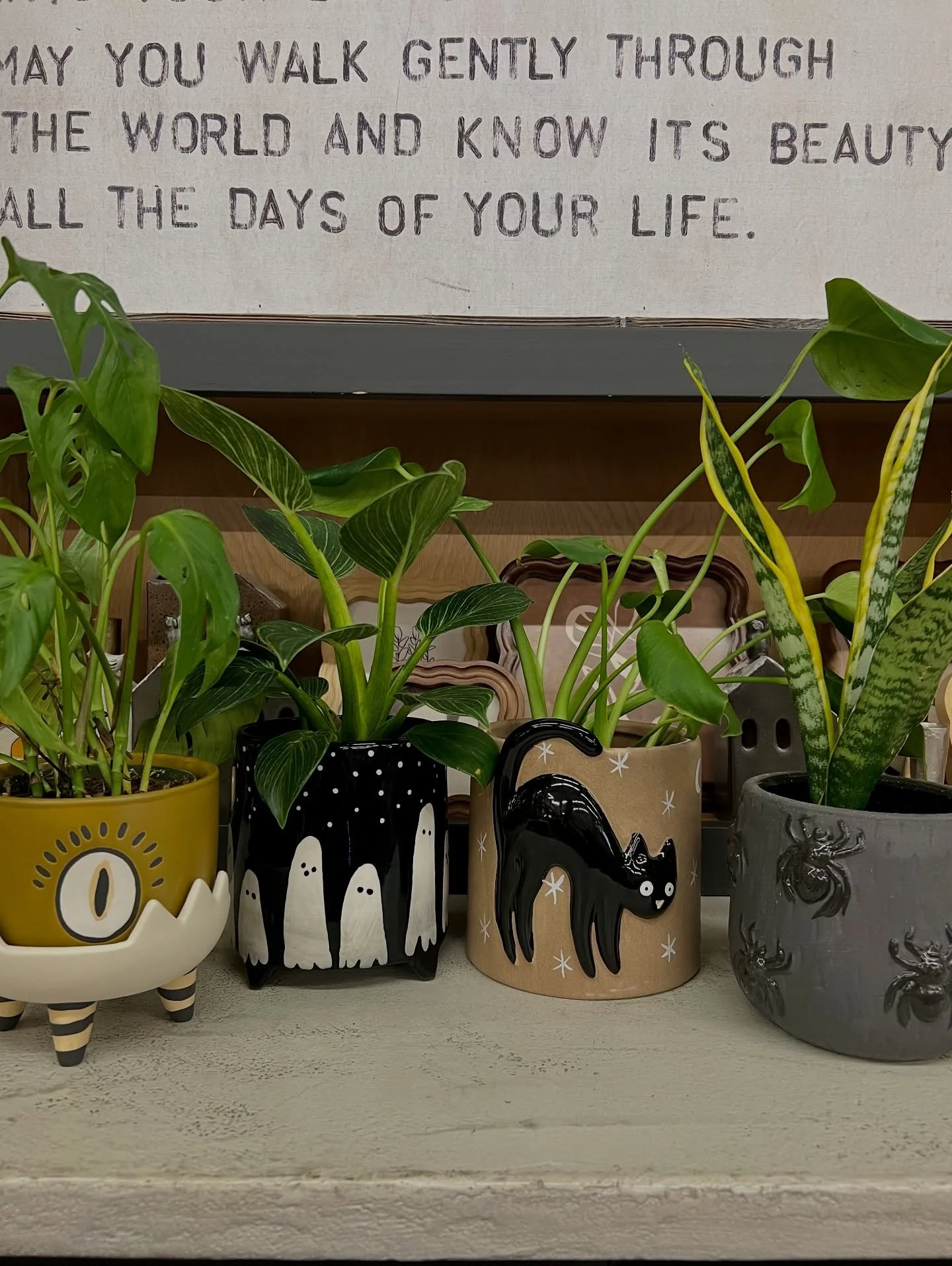 Get ready for Halloween with our spooky plant pots! Buy a plant and we&rsquo;ll pot it for free! 🎃💀