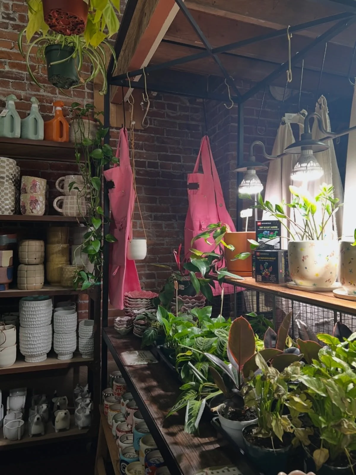 Plant lovers! Browse our selection of plants and pots. Plus, buy both and get your plant potted on us! 🪴