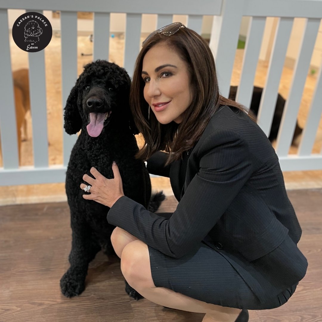 To all the Dog Mums out there, we are wishing you a very Happy Mother's Day! A big shoutout to Caesar's mum, Maria, who made Caesar's Palace palace possible.

To book your pup in for a grooming service or doggy daycare, give us a call on 0456 653 736