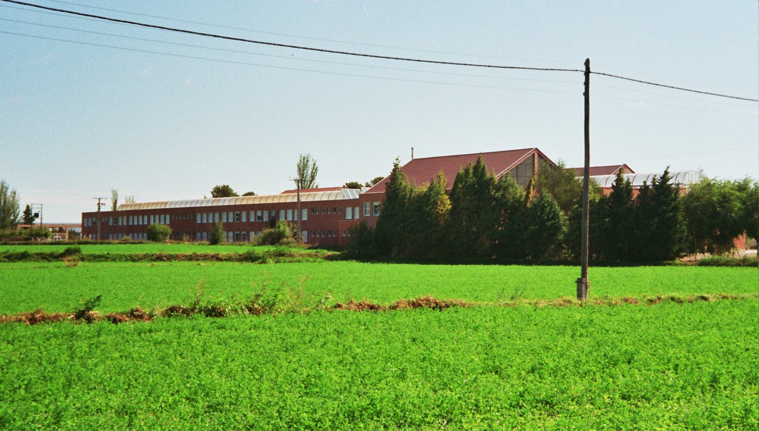 642-007.jpg
