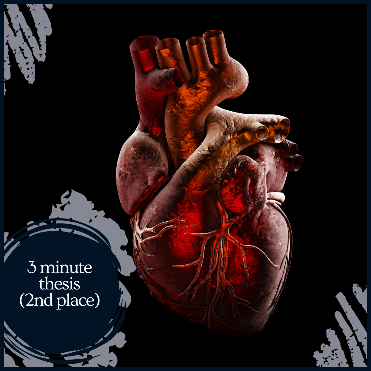 An anatomically correct heart is in the middle with the words "3 minute thesis (1st place)" appearing in the bottom left.