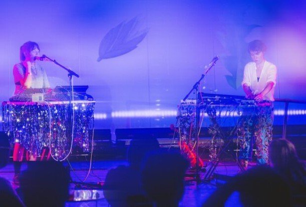 🎹 🎹 new(ish) review alert 🎹 🎹

During Manhattan-henge this summer, I had the privilege of attending Ringdown's show at Lincoln Center. 

&quot;The duo excels with live production. Parpan and Shaw plug away at their boards, splitting vocals into h