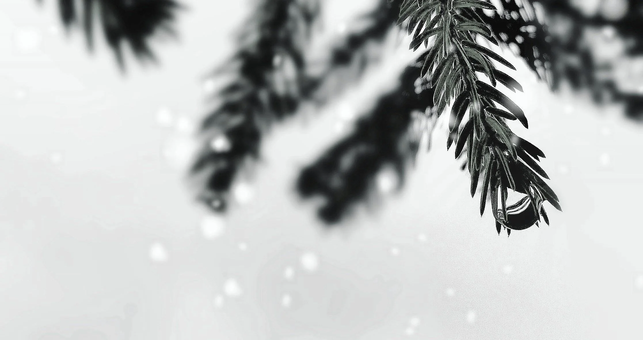 Miten sujui minimalistin vuosi?