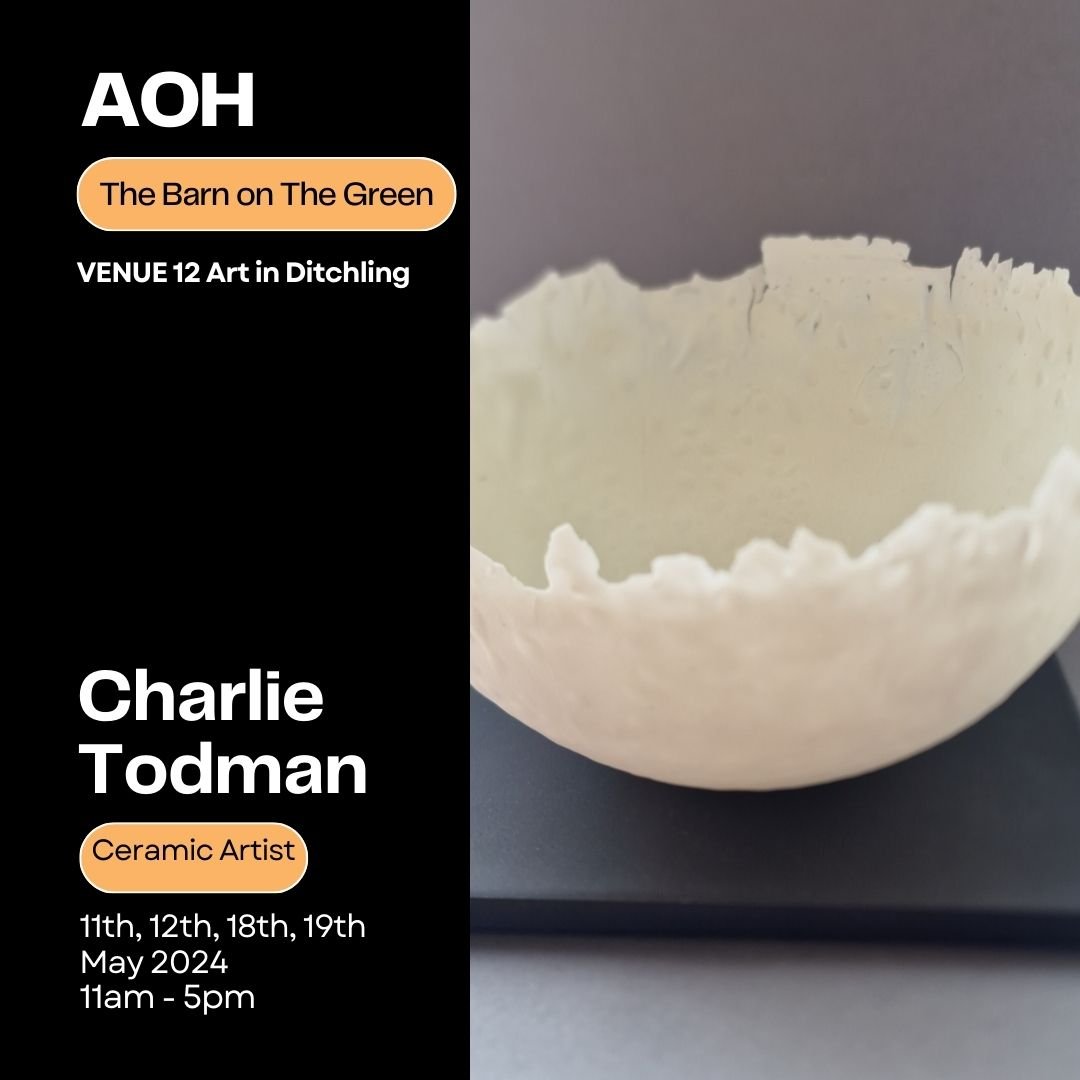 Introducing @charlie_todman_ceramics Charlie first showed with us at ArtWave in 2023 and is going from strength to strength as a ceramic artist.

Very experimental and unafraid to take risks Charlie is producing some exciting objects!

Part of her st