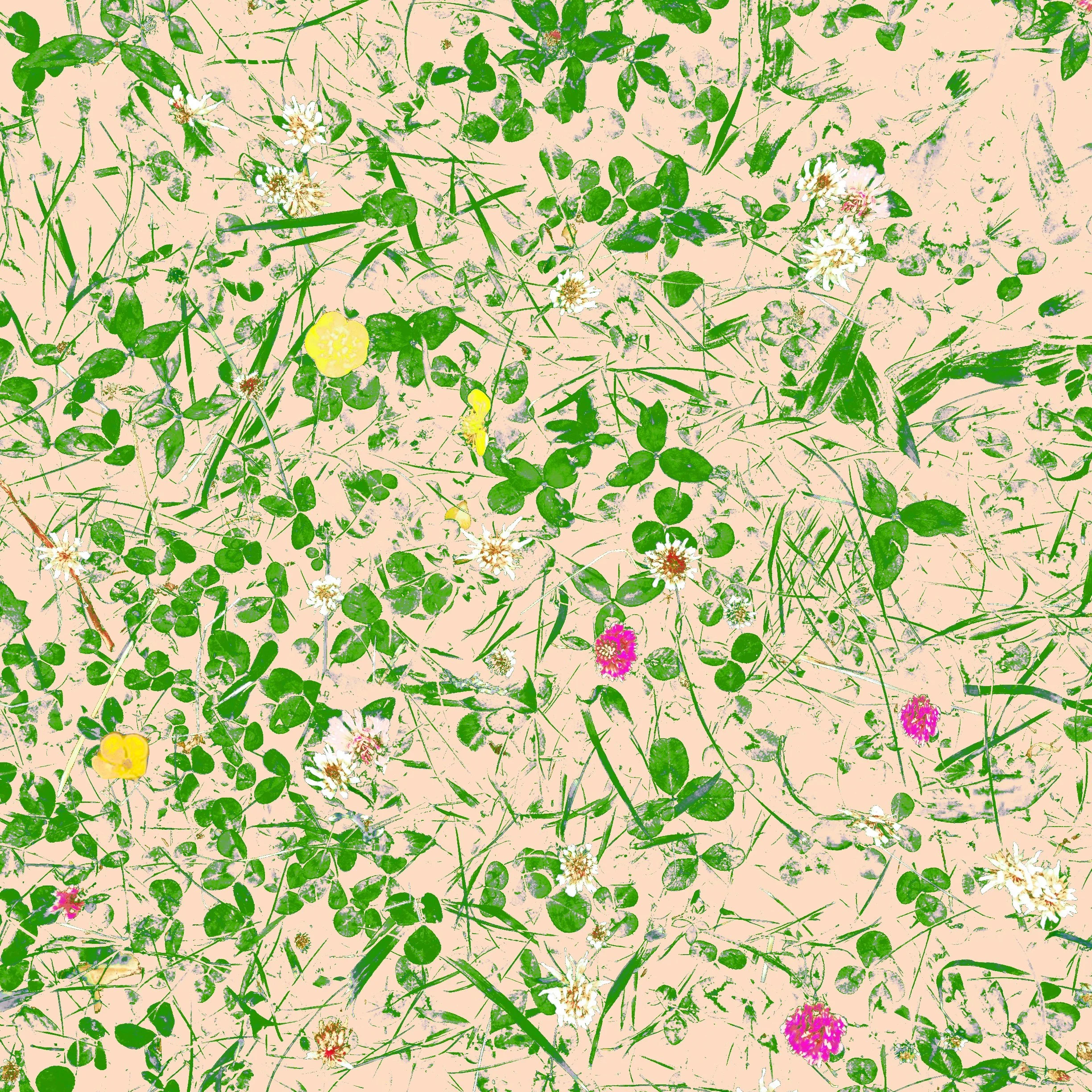 pink_clover_and_green___to_match_hogweed_.jpg