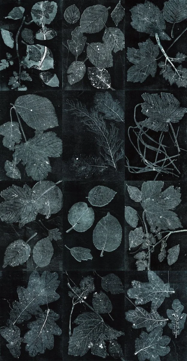 Jan_Sherwood_Multi_Block_Wallpaper.jpg