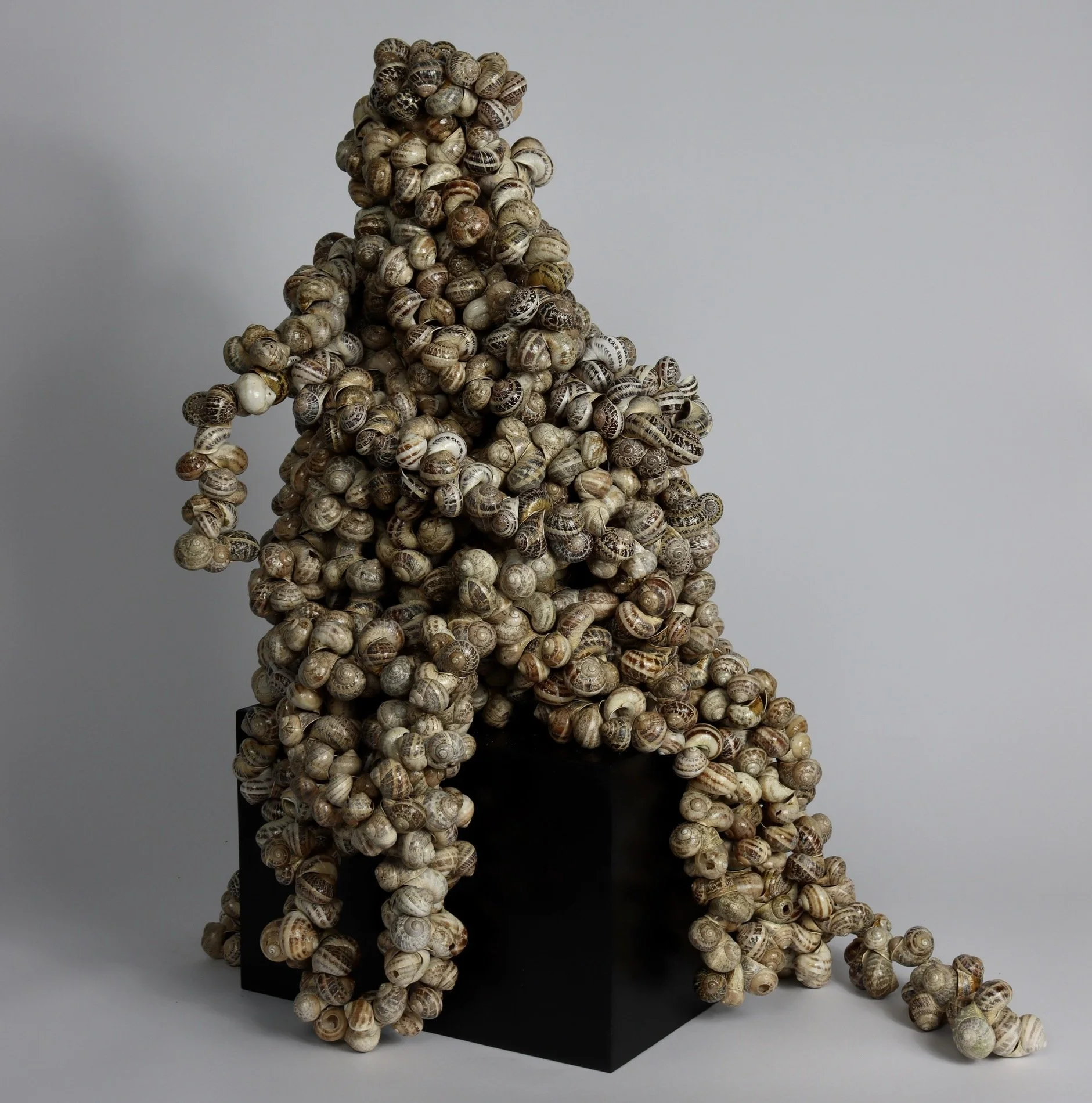 _Snail_Ground_Zero__2026_Claire_Diedrichsen.jpeg