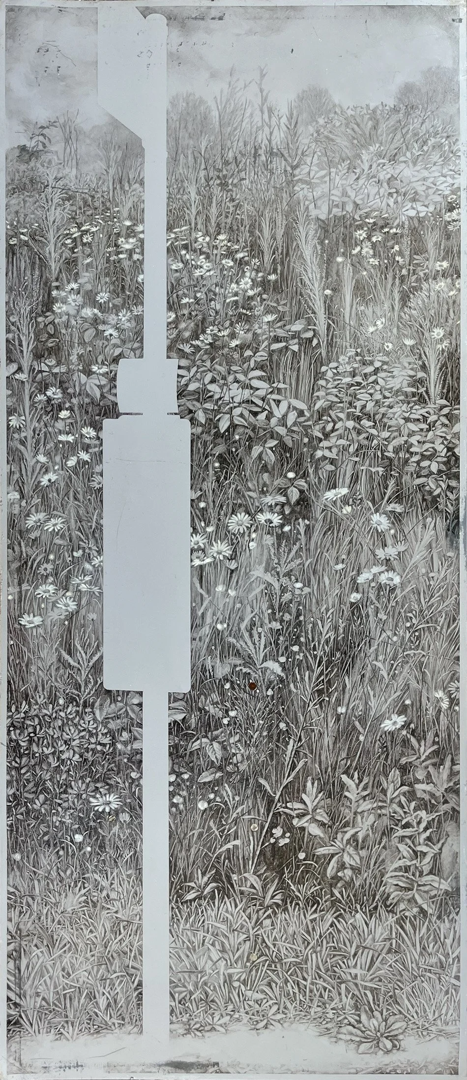 A21_Johns_Cross_Bus_Stop.jpg