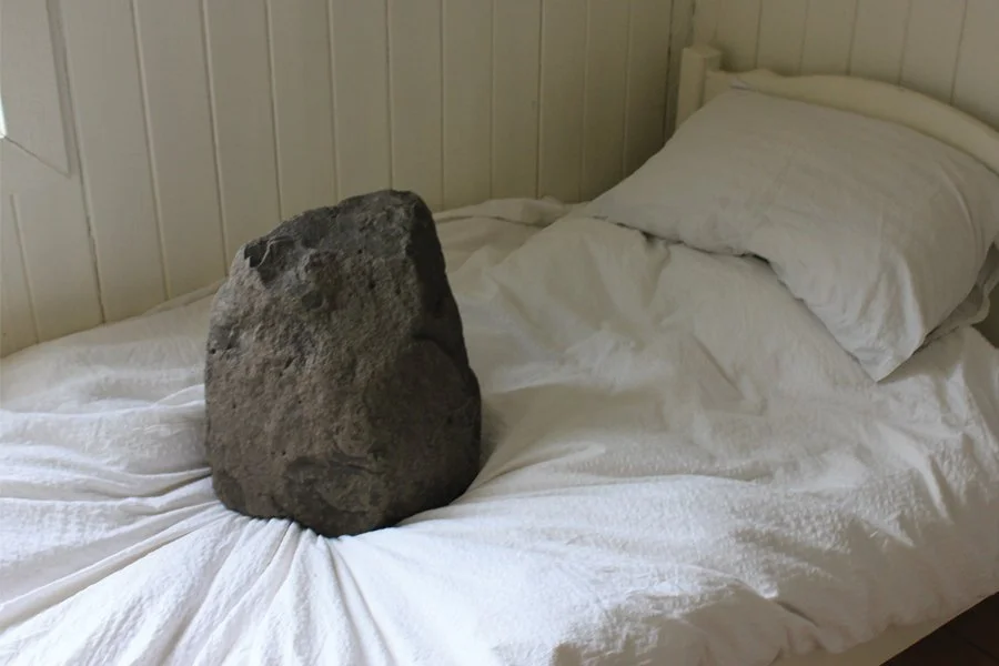 BED_REST_KSHIELDS_websize.jpg