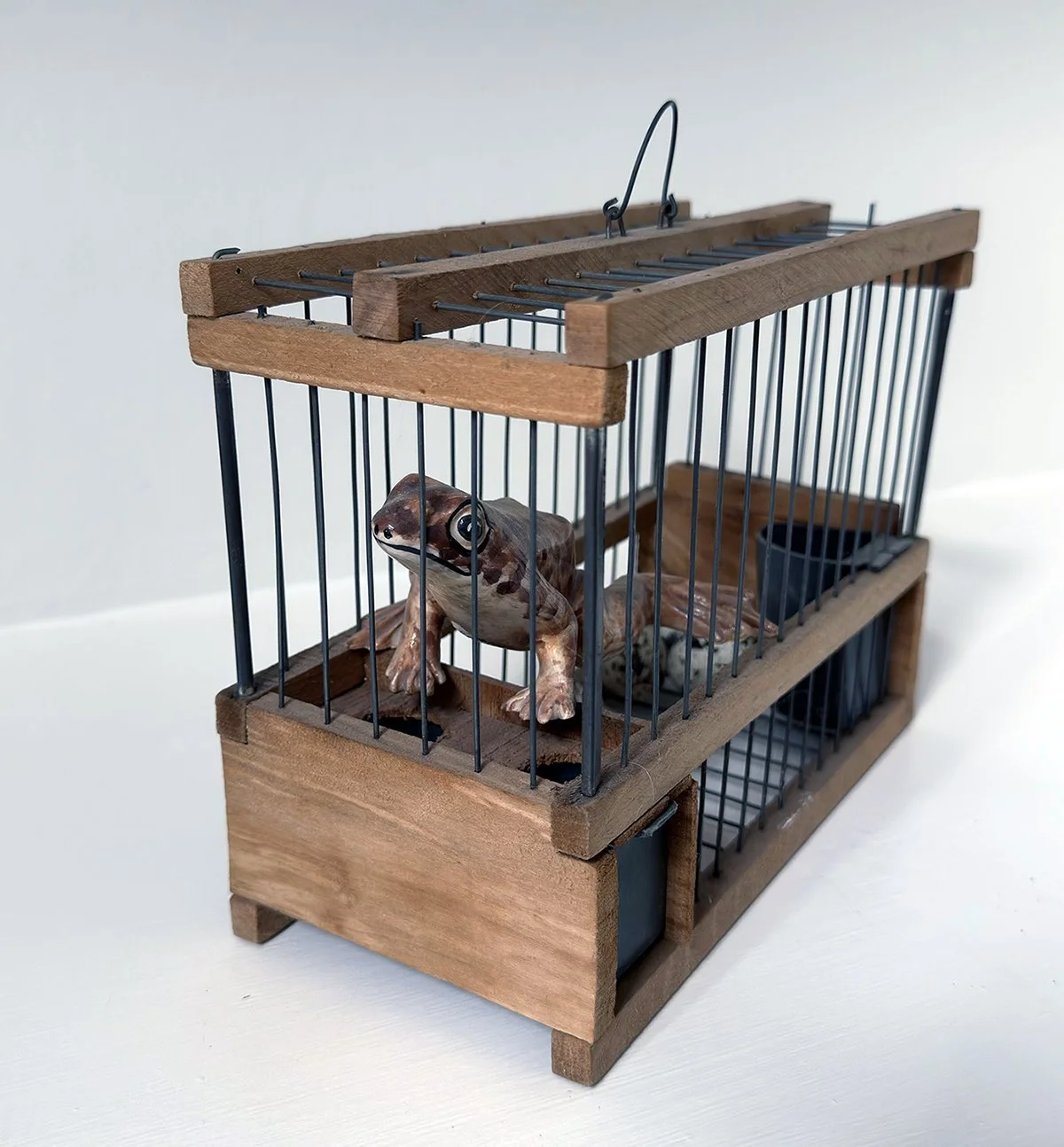 A_Cage_Is_No_Shelter.jpg