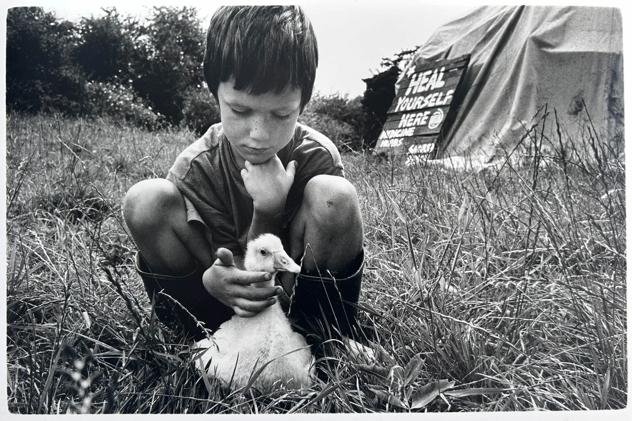 SussexShelter1.jpg