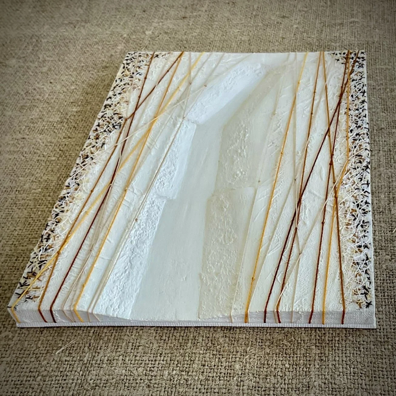 IMG_1834 - Anne Young (1).jpeg