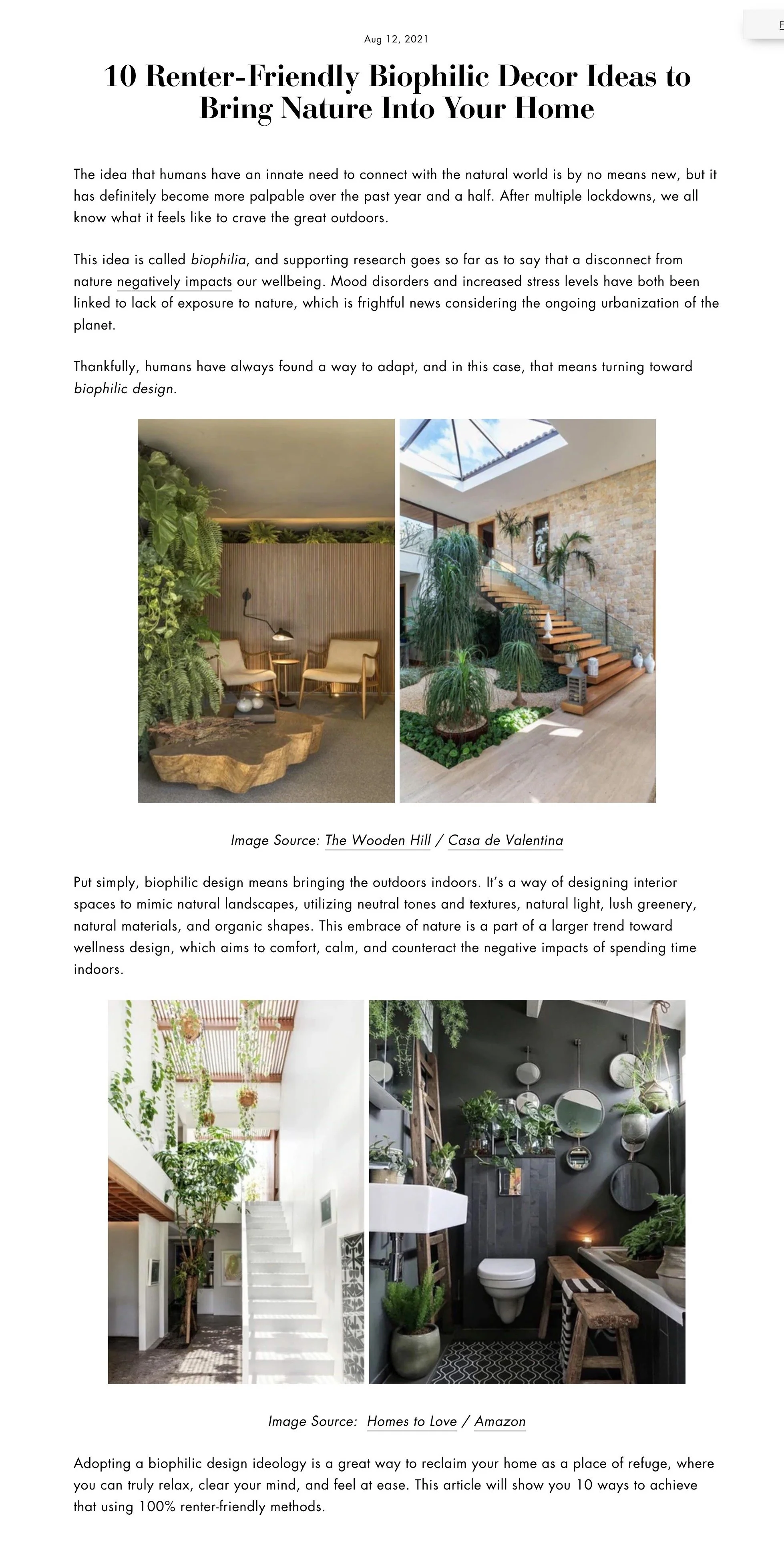 biophilia.jpg