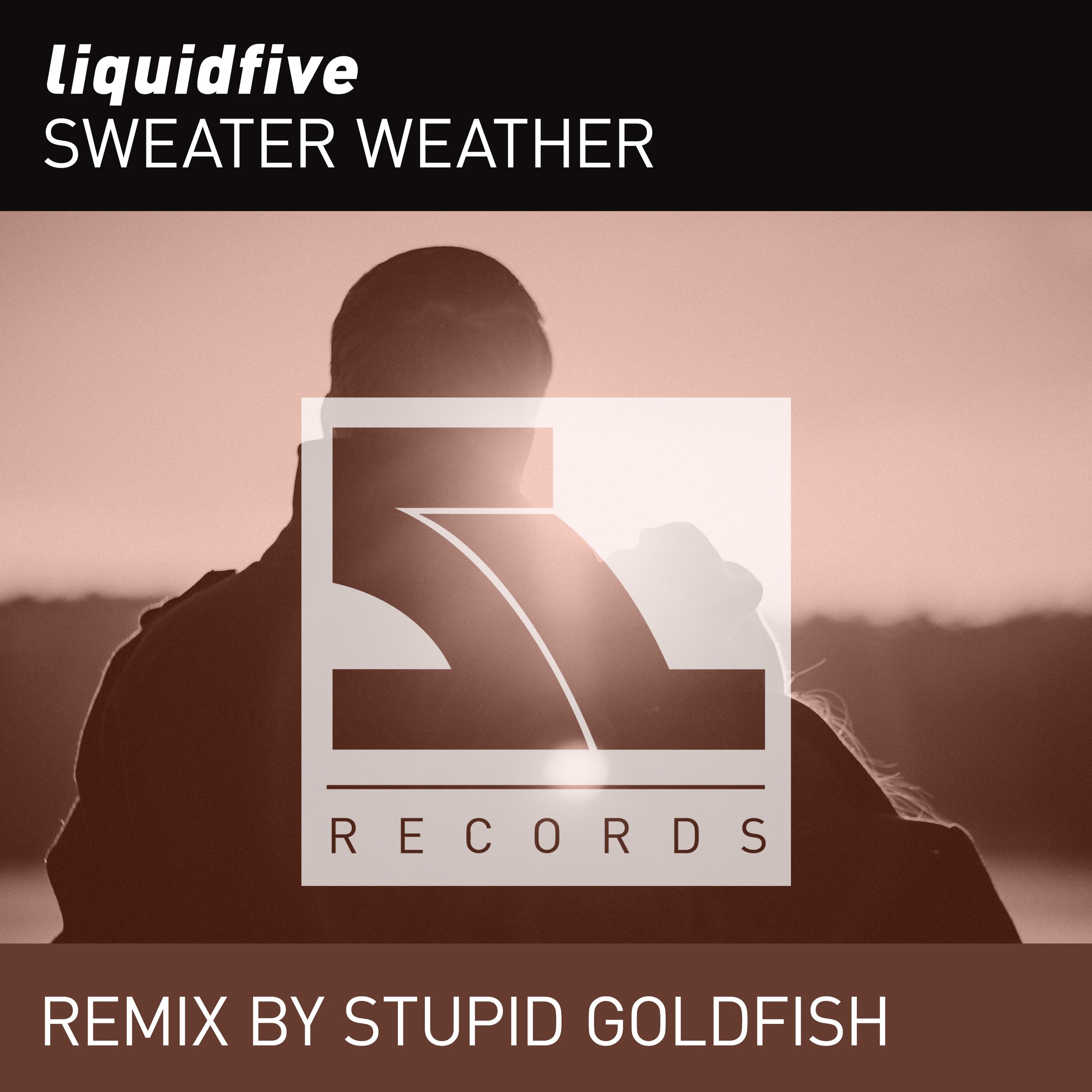 Sweater Weather (Stupid Goldfish Remix)