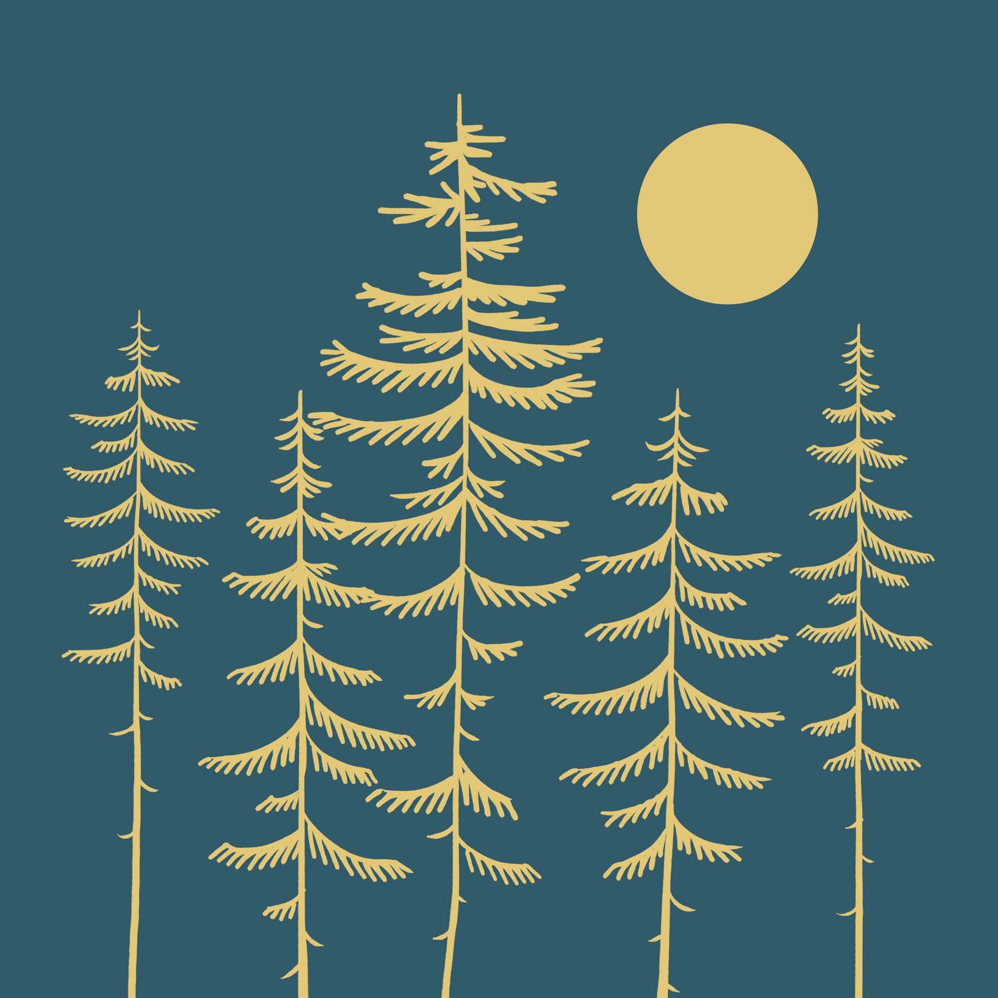 Pine Cedar Fir.jpg