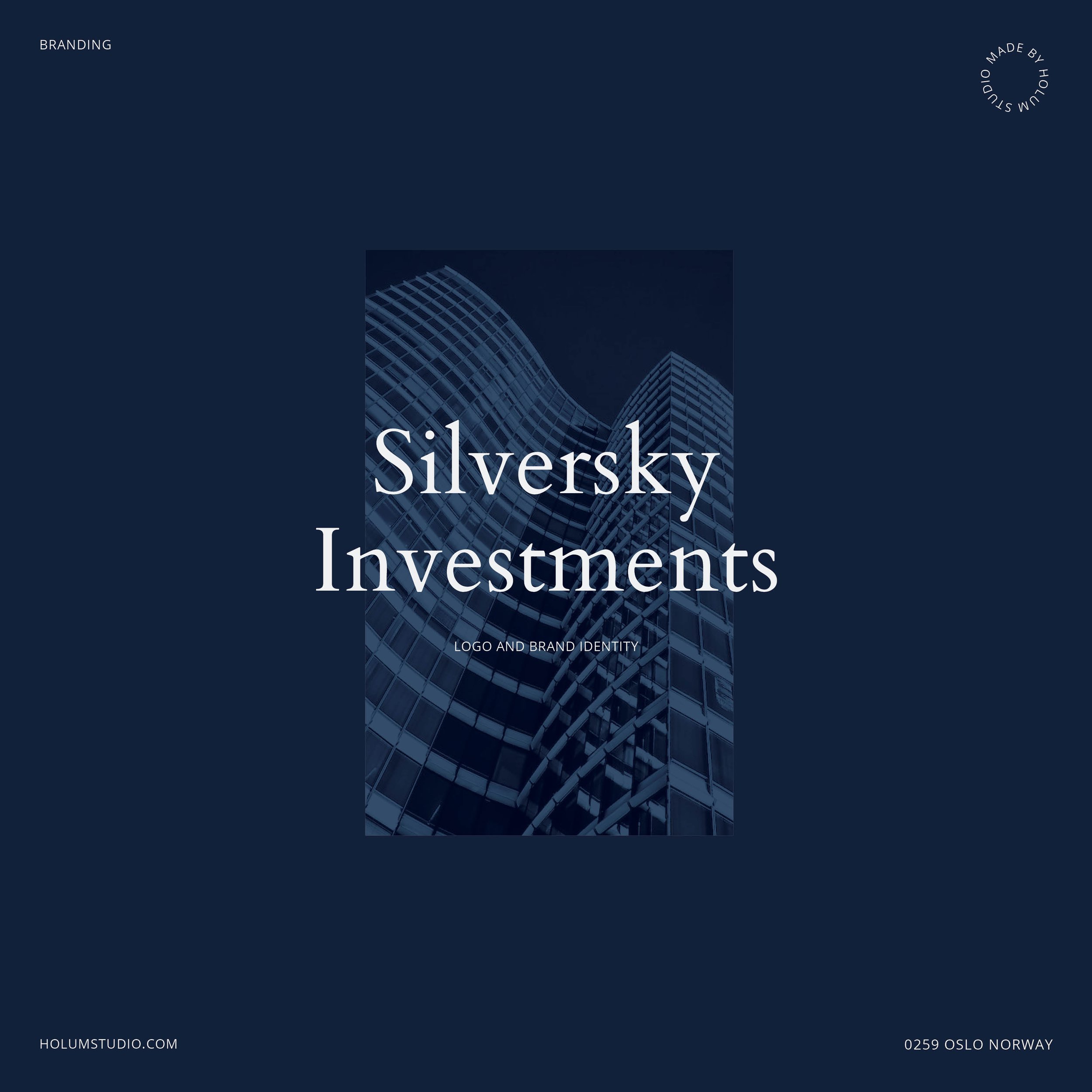 Logo and brand identity SilverSky Investment by Holum Studio.jpg