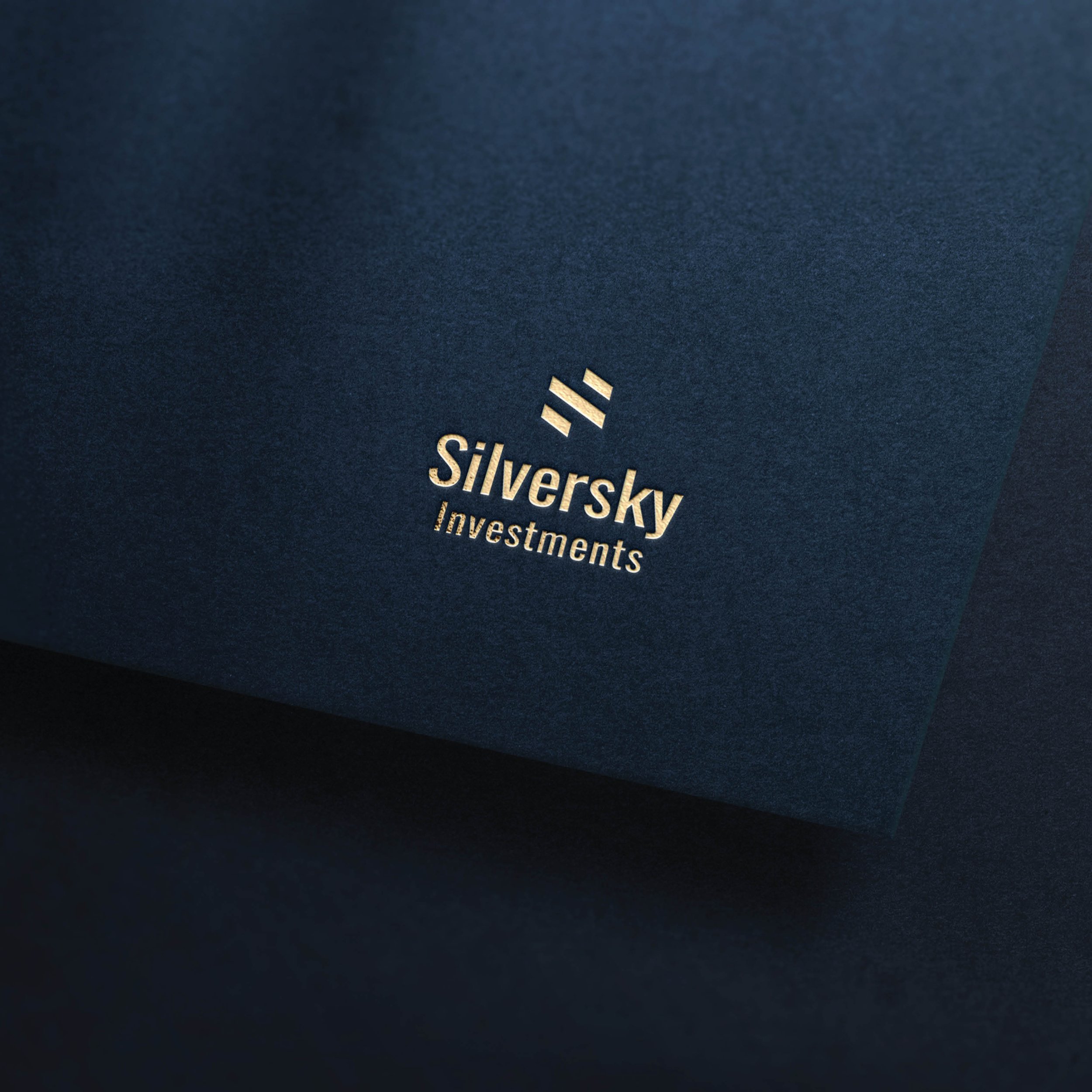 Logo and brand identity SilverSky Investment by Holum Studio23.jpg