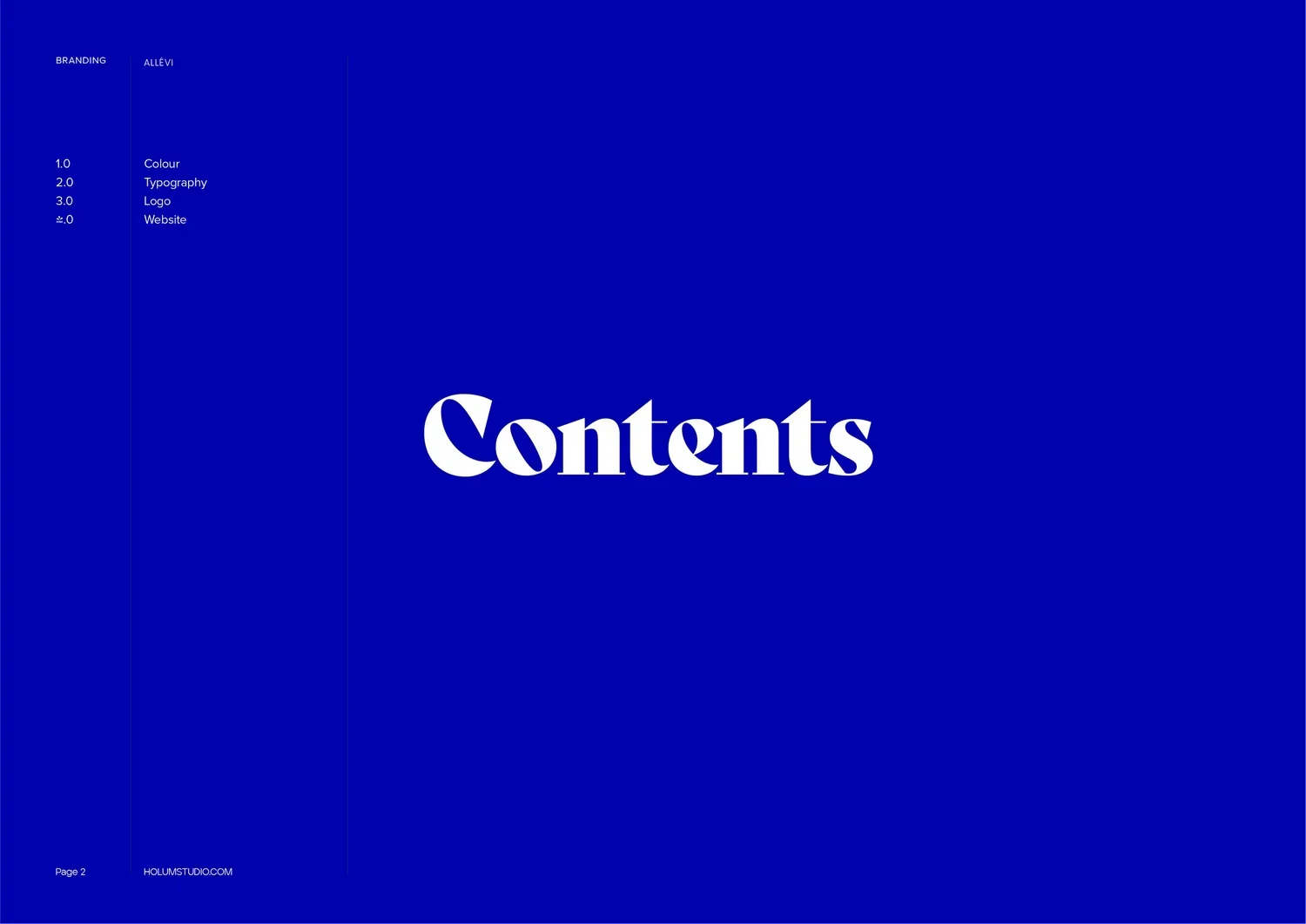 Allevi_Logo+and+Branding_Slide+2.jpg.webp