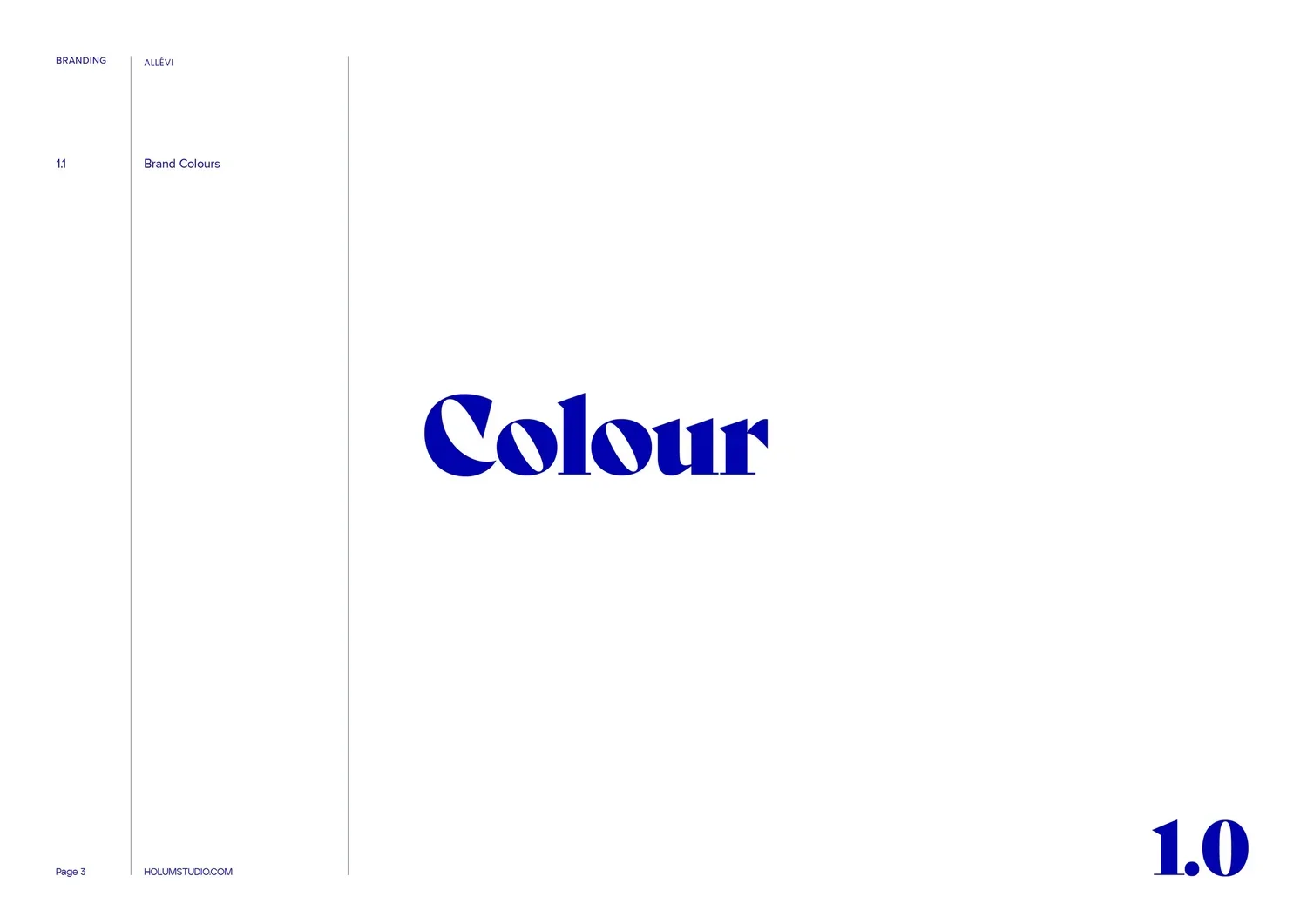 Allevi_Logo+and+Branding_Slide+3.jpg.webp