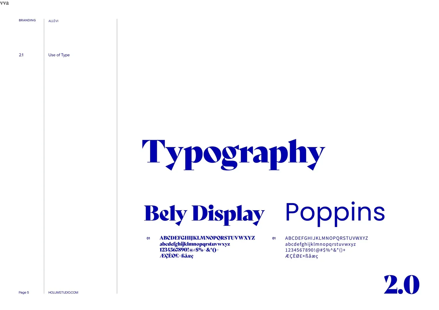 Allevi_Logo+and+Branding_Slide+5.jpg.webp