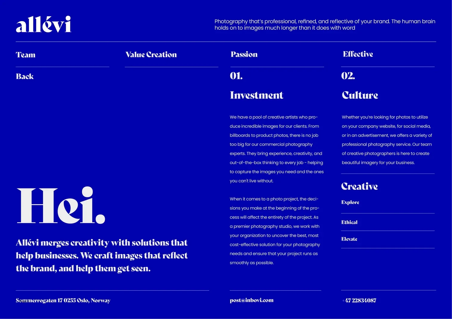 Allevi_Logo+and+Branding_Slide+6.jpg.webp