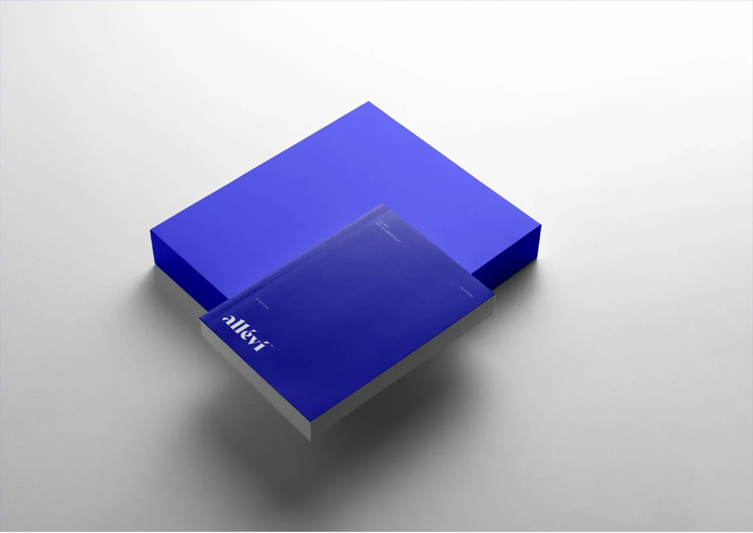 Allevi_Logo+and+Branding_Slide+13.jpg.webp