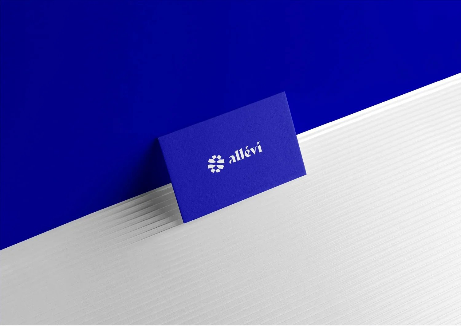 Allevi_Logo+and+Branding_Slide+15.jpg.webp