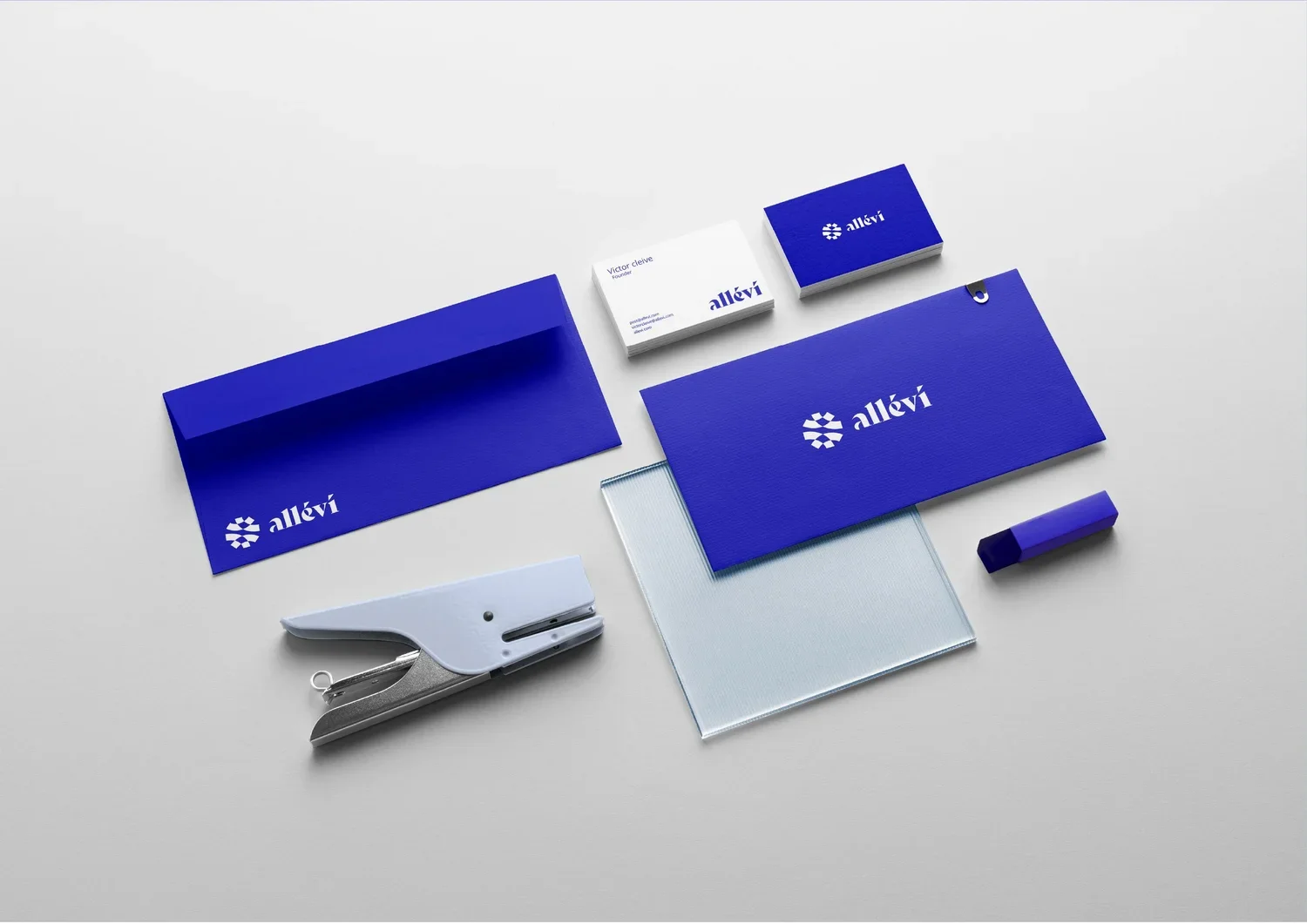 Allevi_Logo+and+Branding_Slide+16.jpg.webp