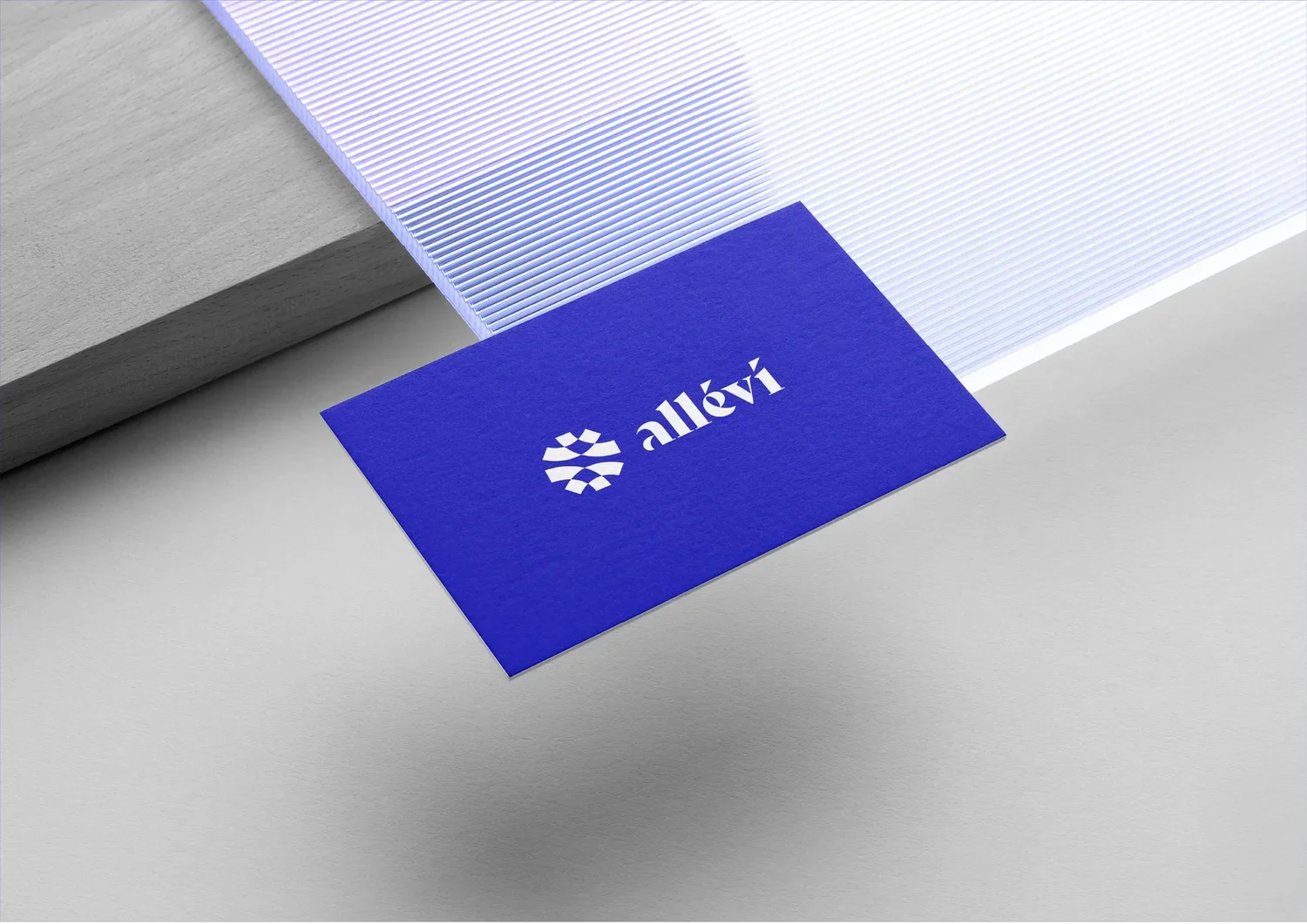 Allevi_Logo+and+Branding_Slide+17.jpg.webp