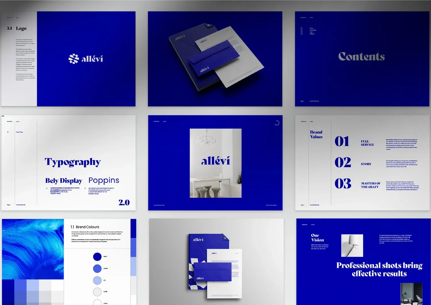 Allevi_Logo+and+Branding_Slide+20.jpg.webp