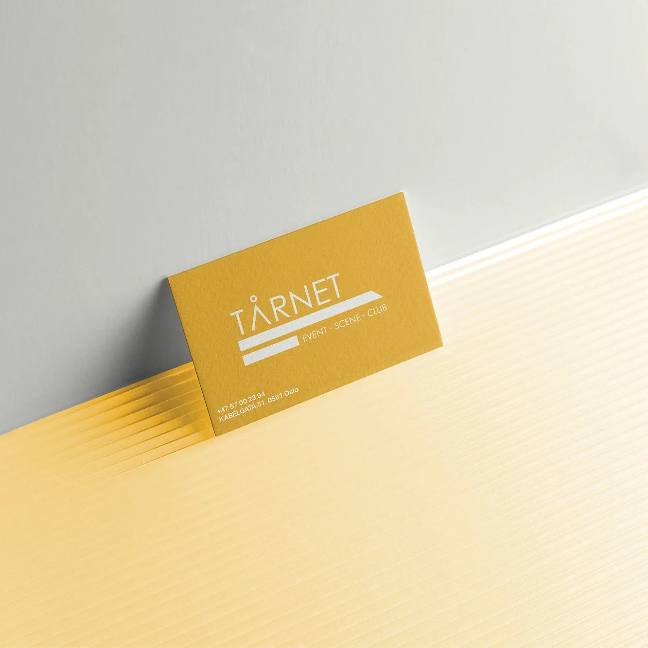 Tarnet+MAIN17.jpg.webp