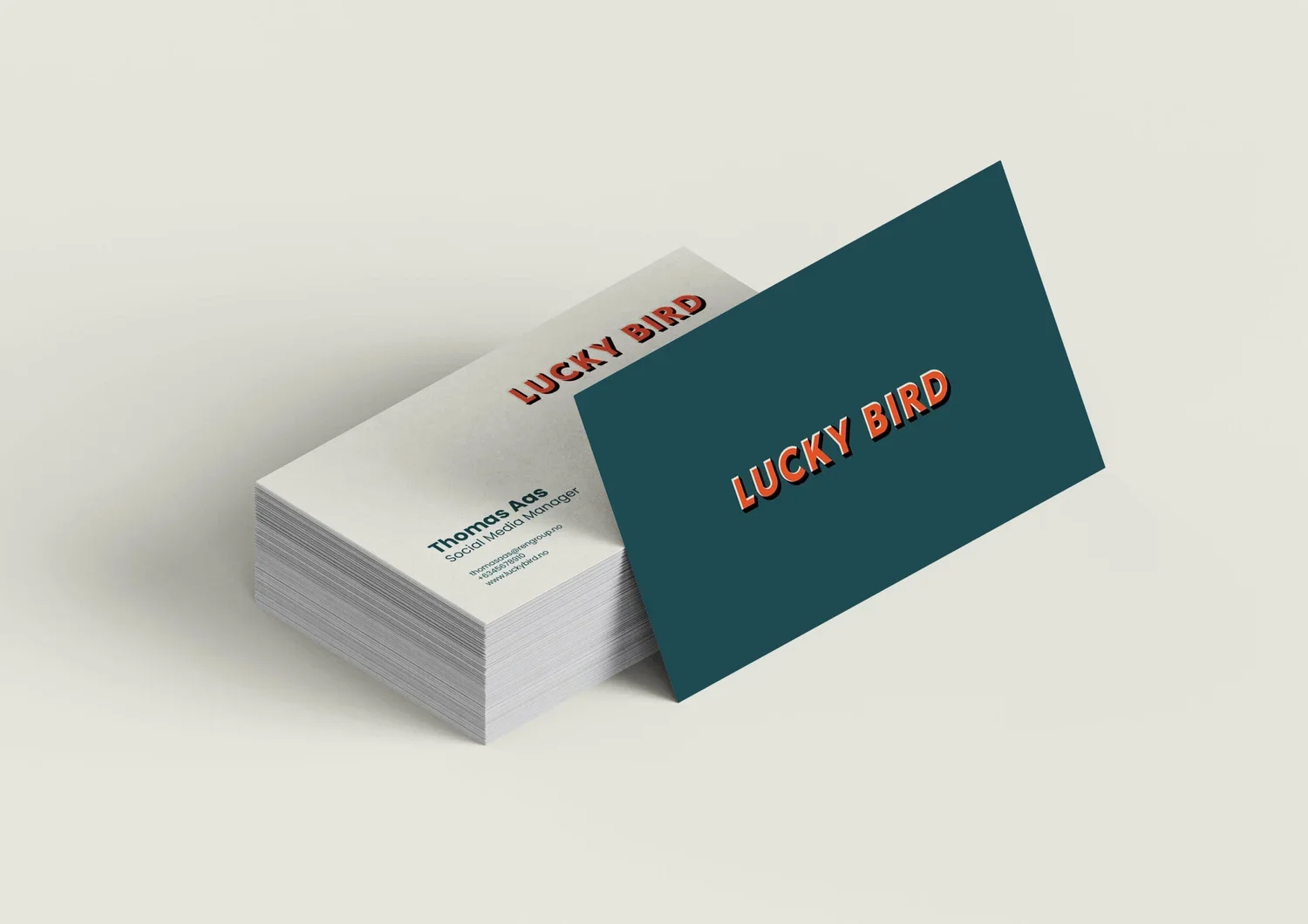 Holum+Studio+Brand+Identity+and+Web+design+for+Lucky+Bird+Ren+Group17.jpg.webp