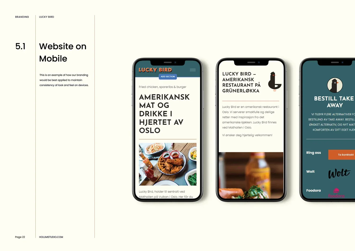 Holum+Studio+Brand+Identity+and+Web+design+for+Lucky+Bird+Ren+Group22.jpg.webp