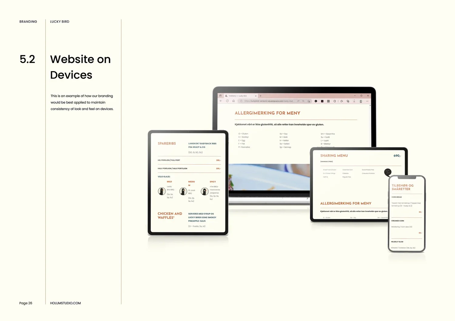 Holum+Studio+Brand+Identity+and+Web+design+for+Lucky+Bird+Ren+Group26.jpg.webp