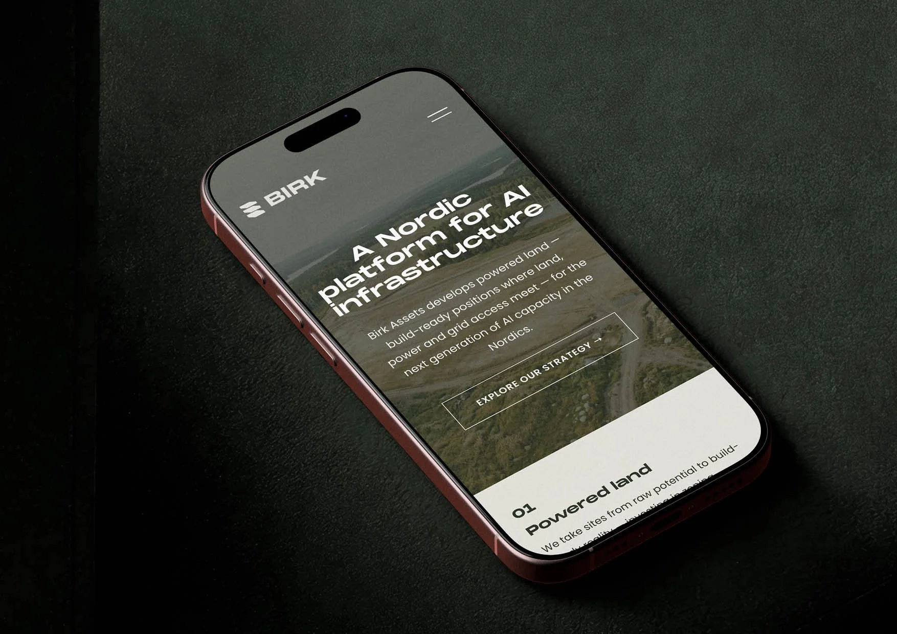 BIRK-Logo Presentation-made by HolumStudio32.jpg
