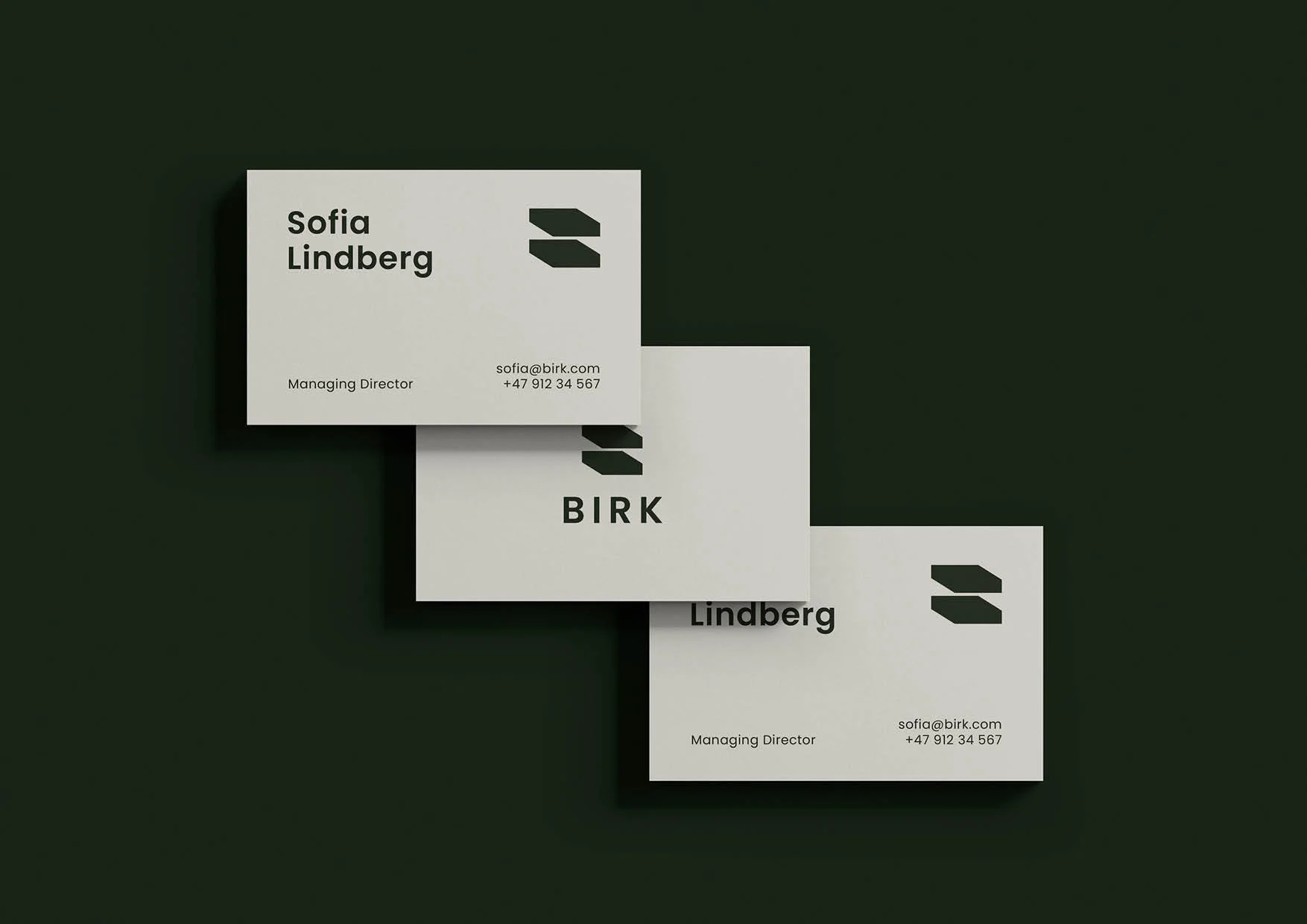 BIRK-Logo Presentation-made by HolumStudio26.jpg