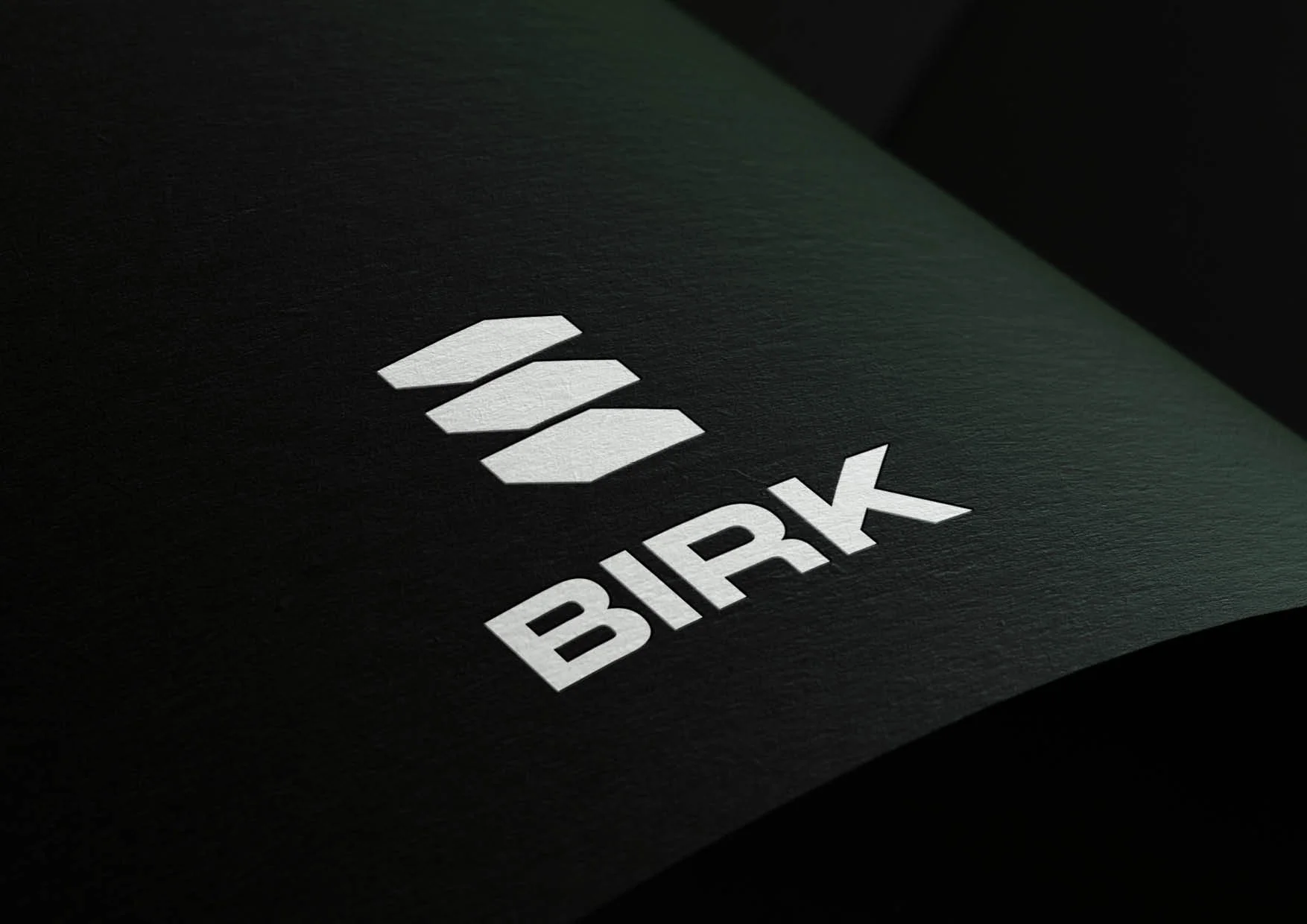 BIRK-Logo Presentation-made by HolumStudio22.jpg