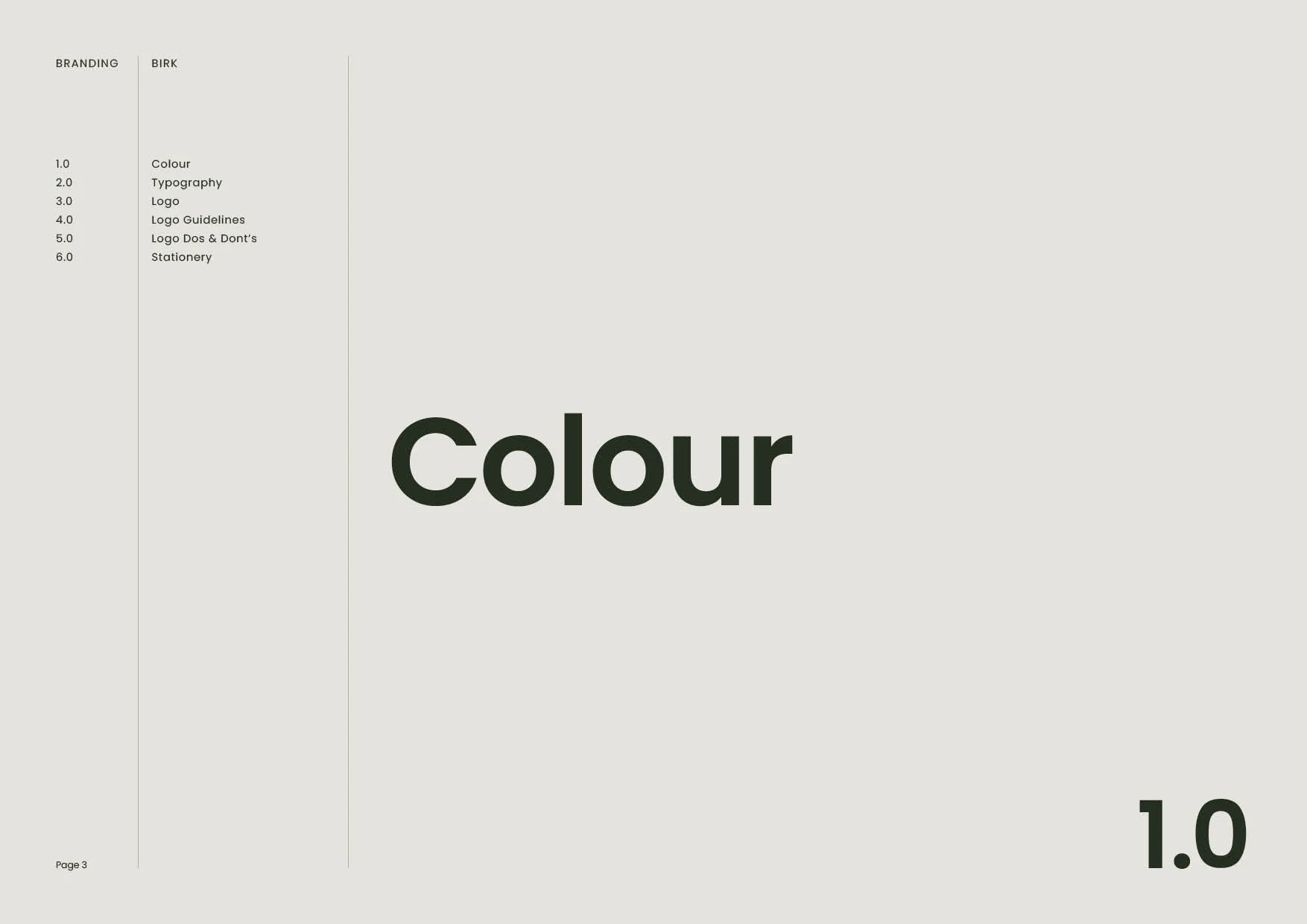 BIRK-Logo Presentation-made by HolumStudio3.jpg