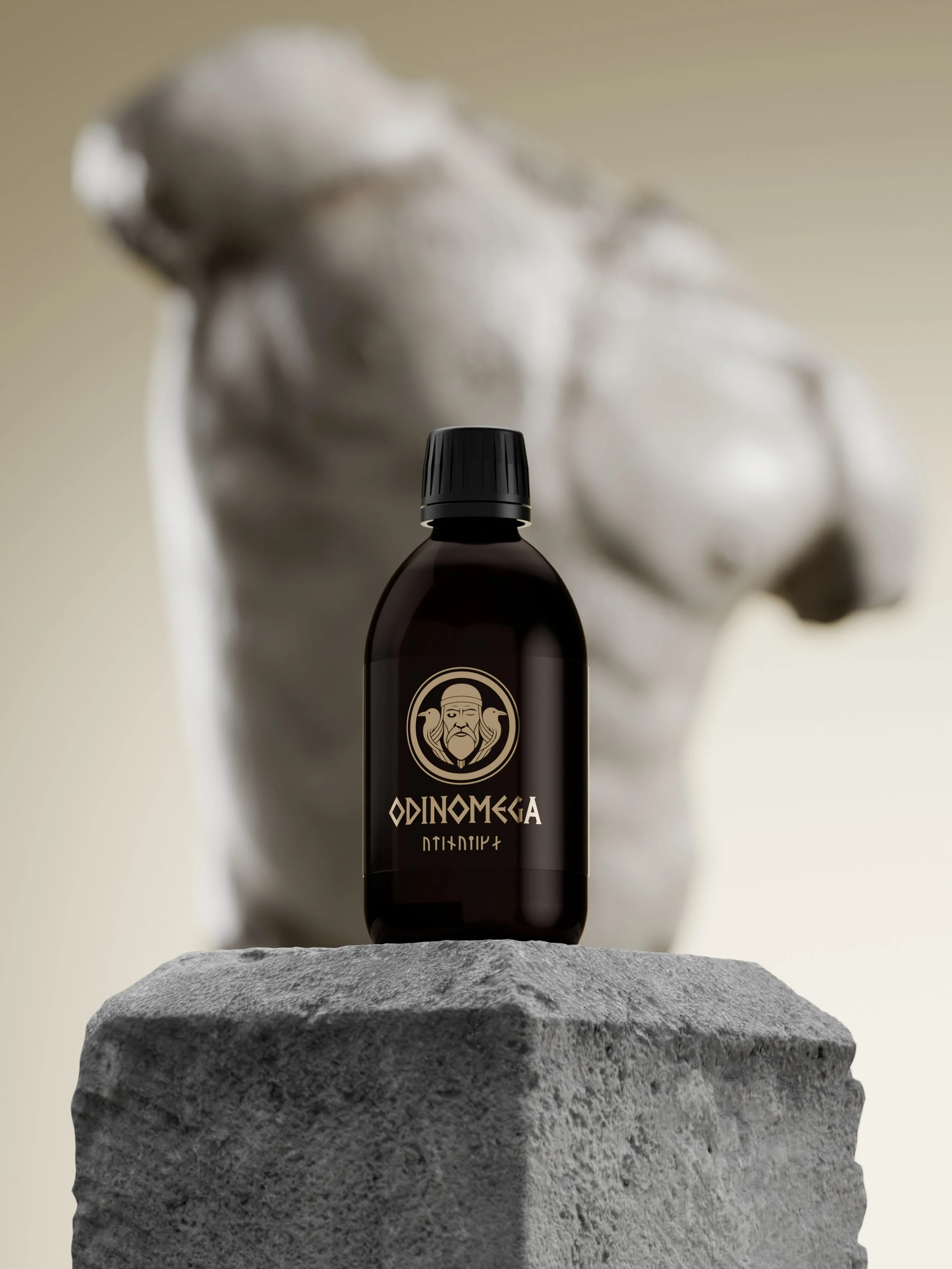 2_Odinomega statue_sanomega.jpg