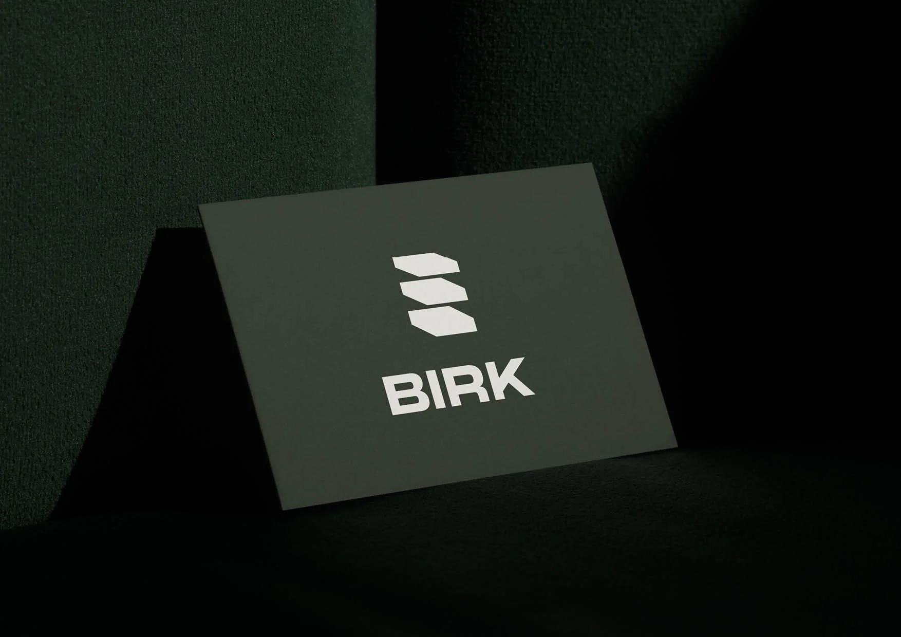 BIRK-Logo Presentation-made by HolumStudio23.jpg